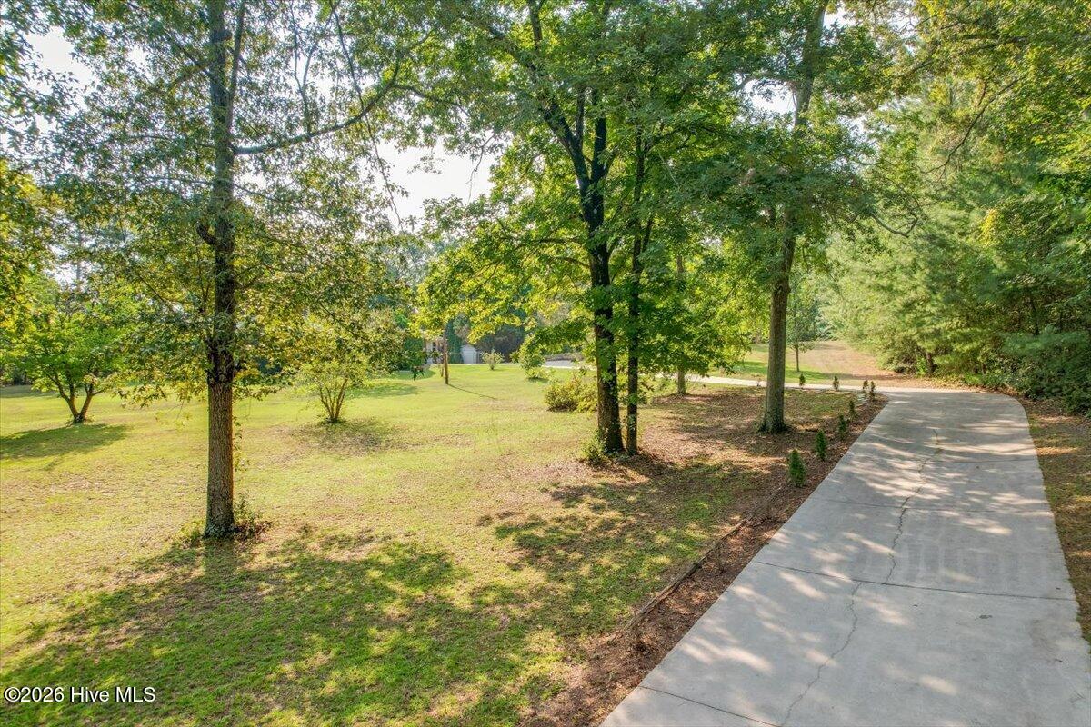 255 Hill And Dell Drive Property Photo 6