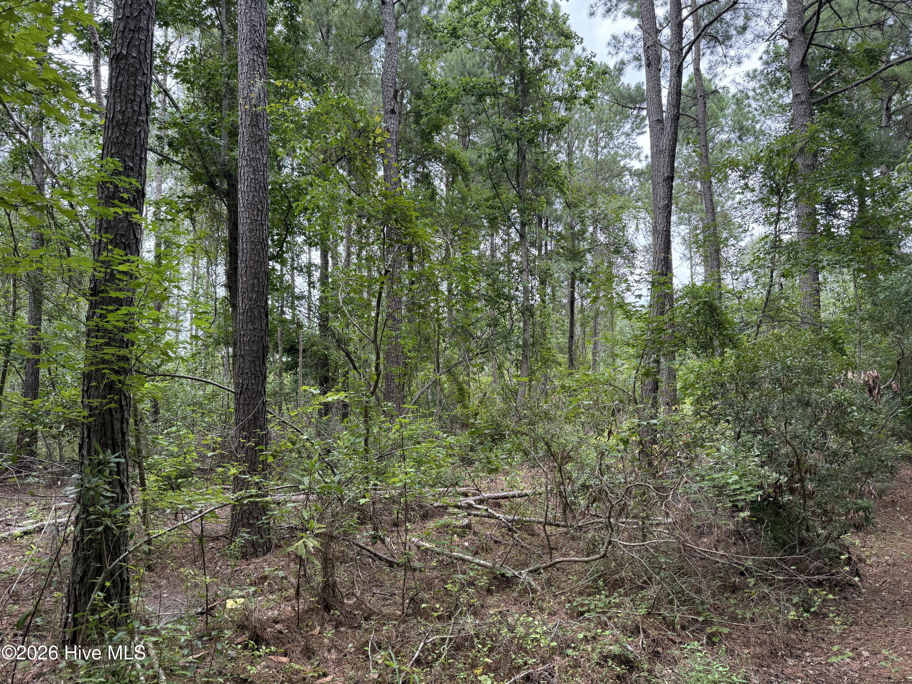 0 Nc 33 Off Property Photo 6