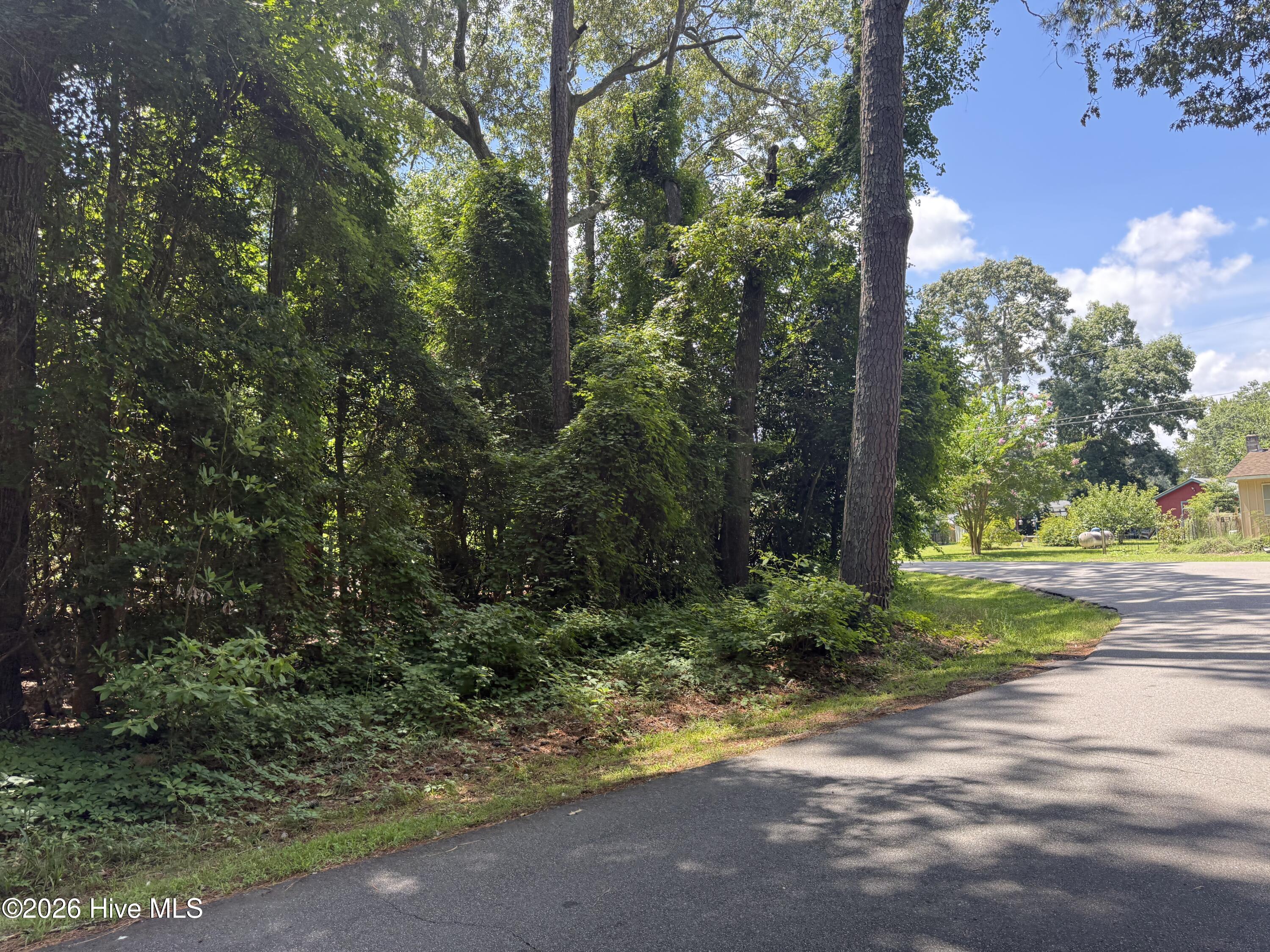 203 Cherokee Trail Property Photo 5