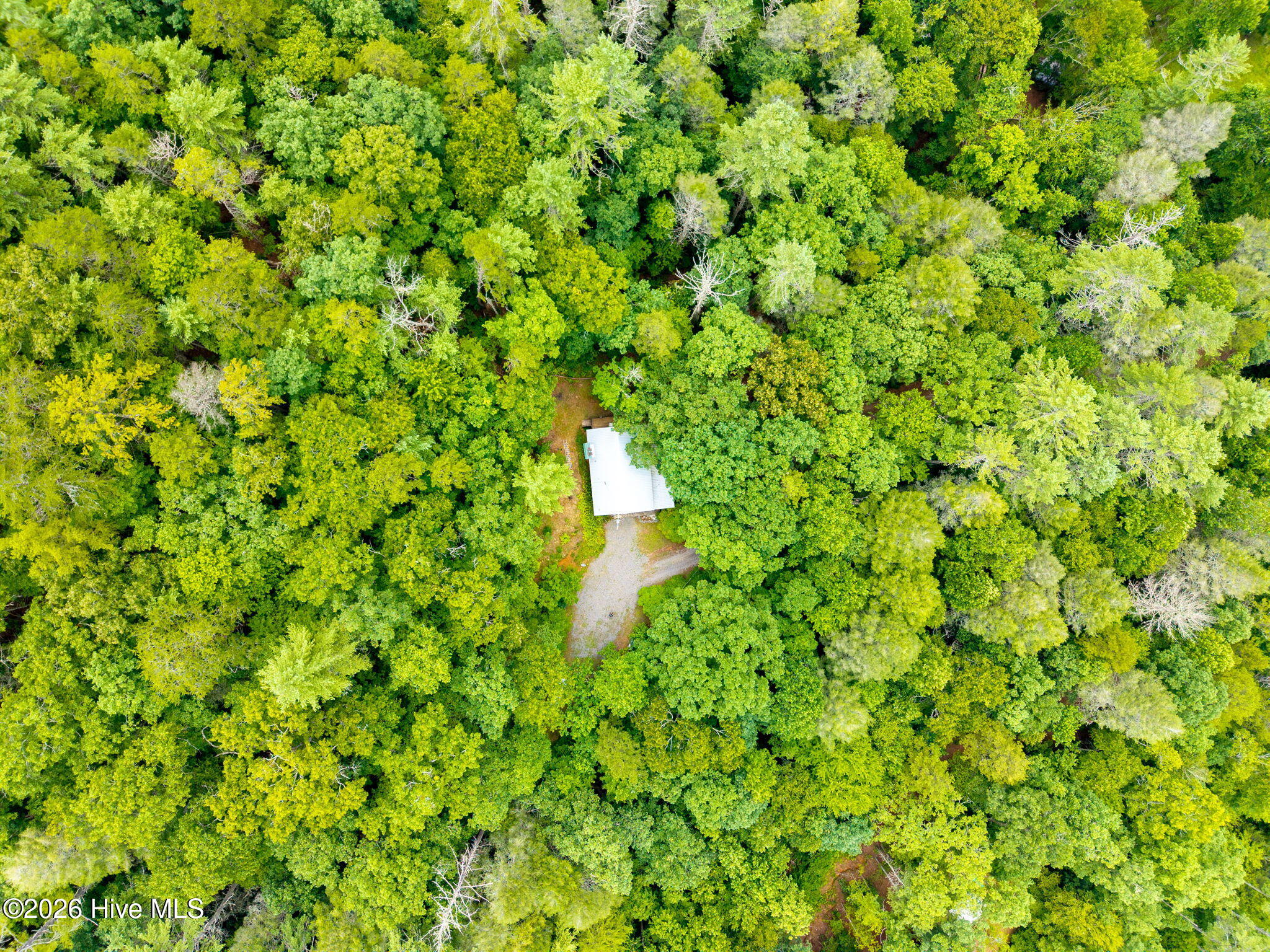 910 Laurel Branch Road Property Photo 4