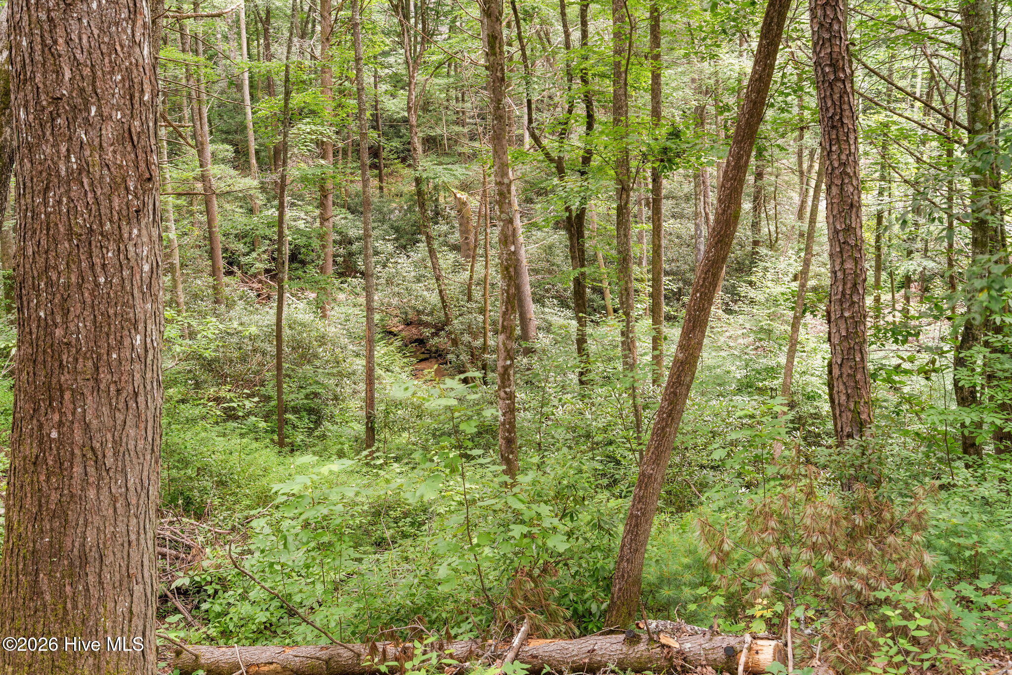 910 Laurel Branch Road Property Photo 18