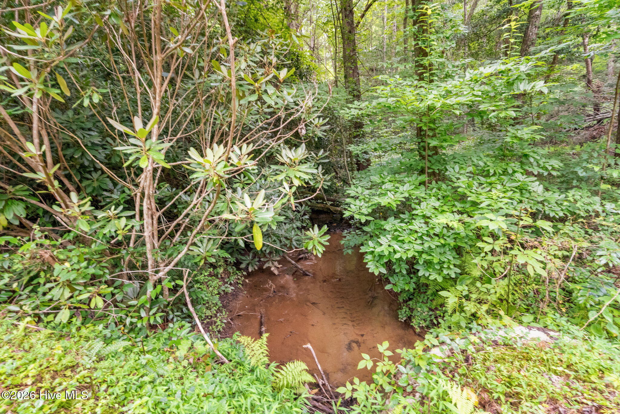 910 Laurel Branch Road Property Photo 55