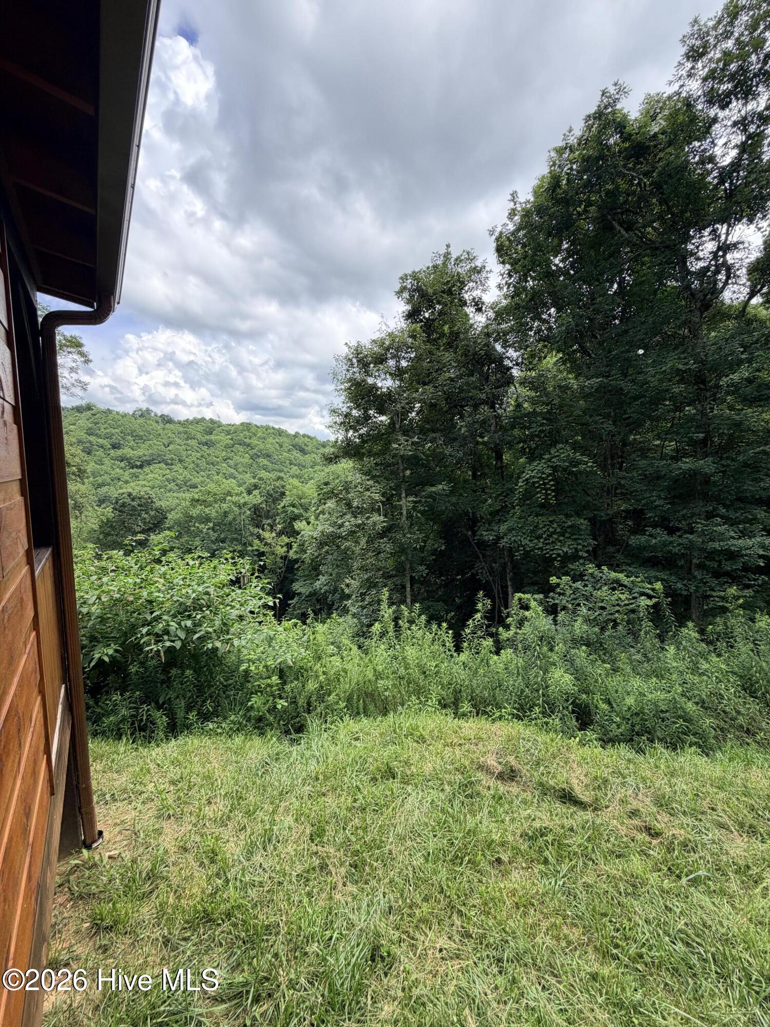 371 Black Bear Trail Property Photo 34