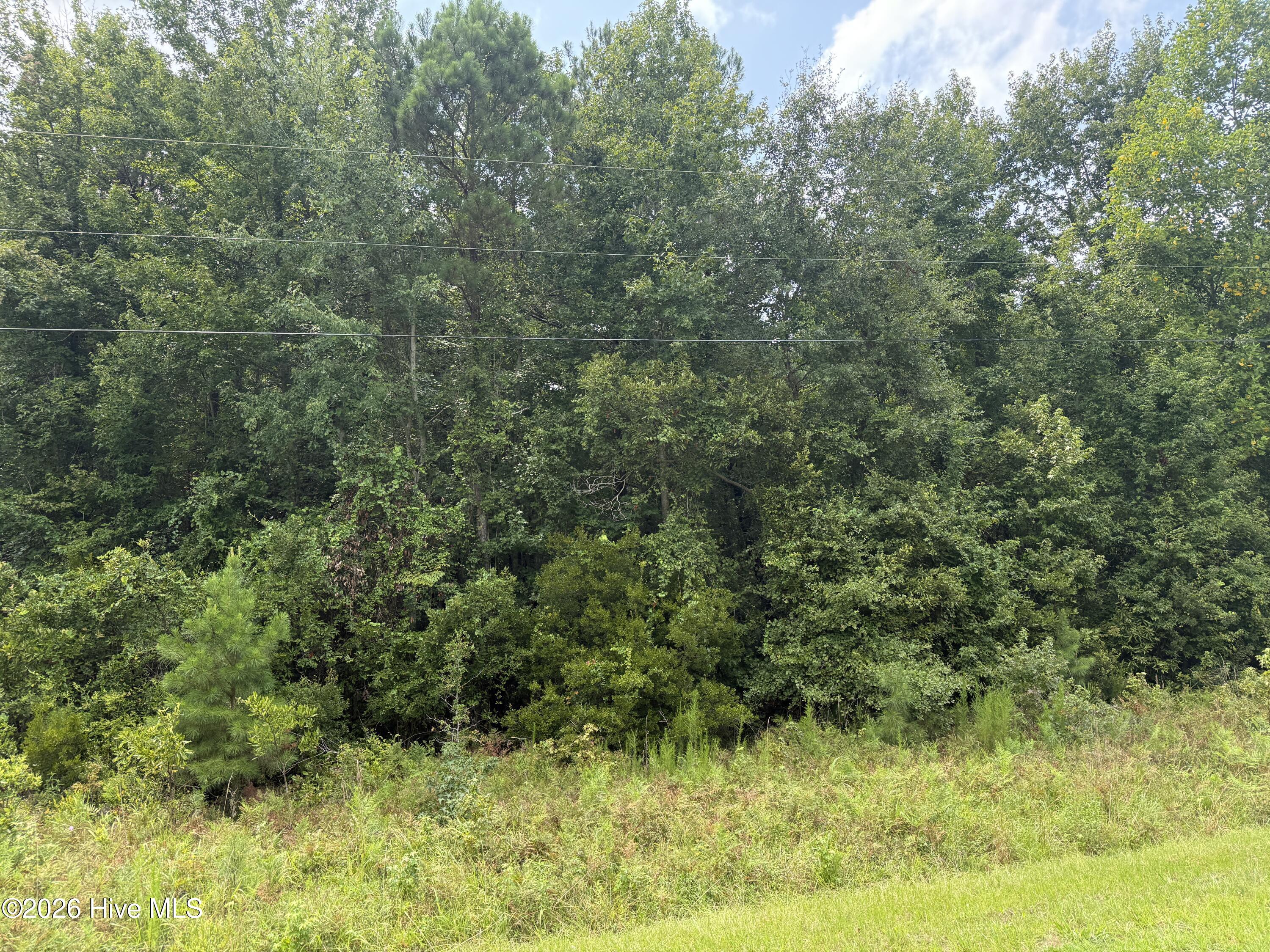 0 Old Sandhill Road Property Photo 16