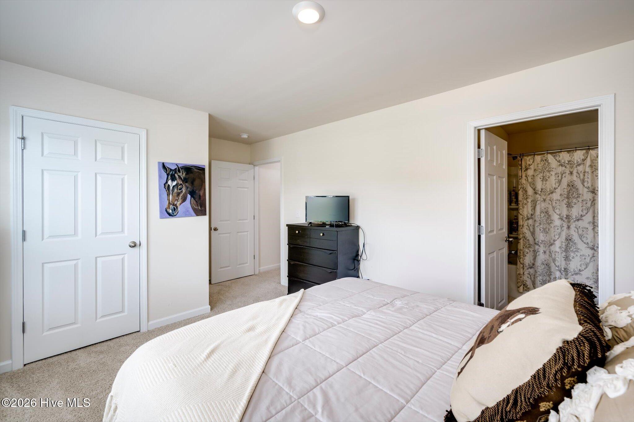169 Journey Property Photo 34