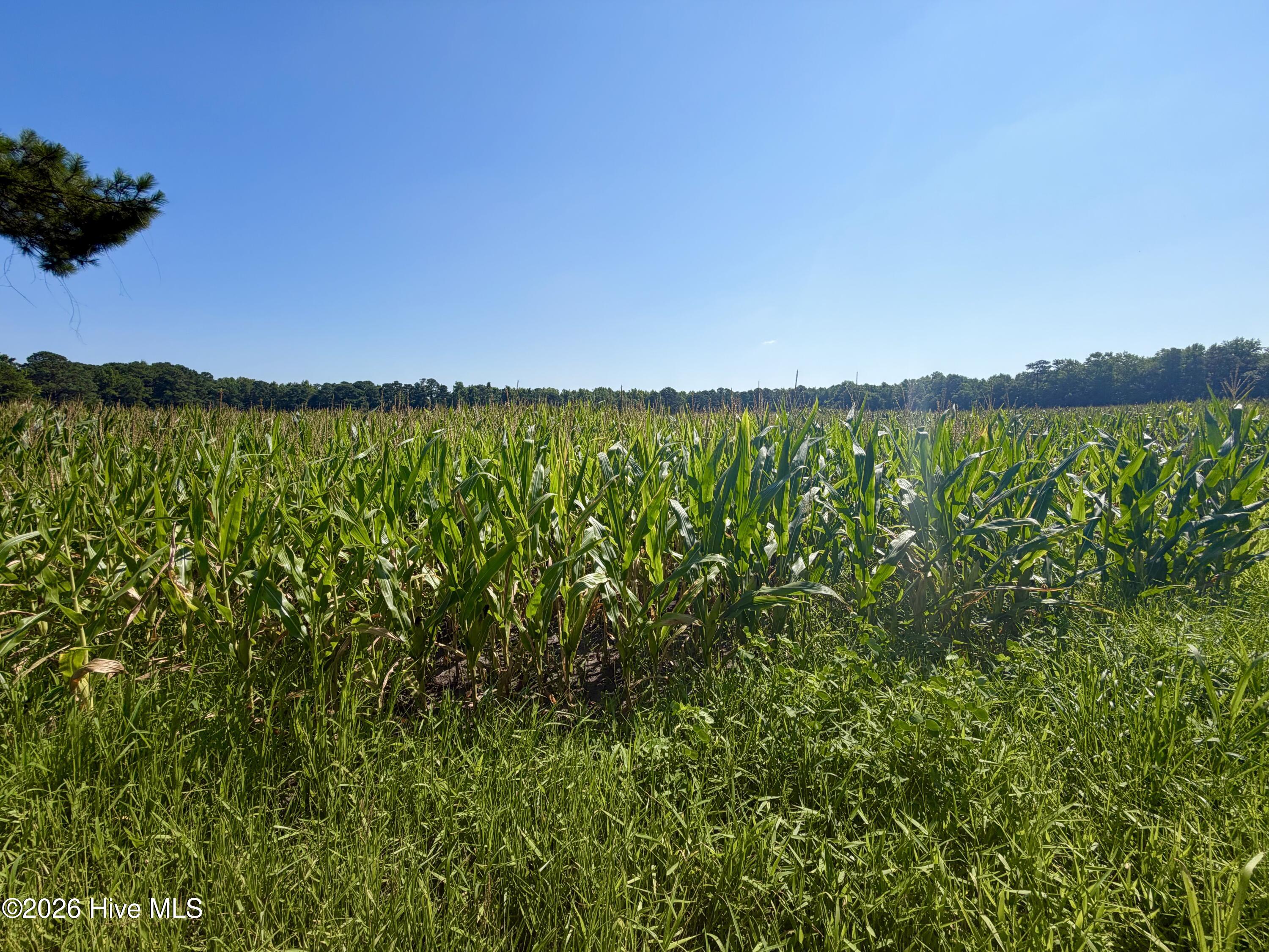 00 Cedar Fork Road Property Photo 1