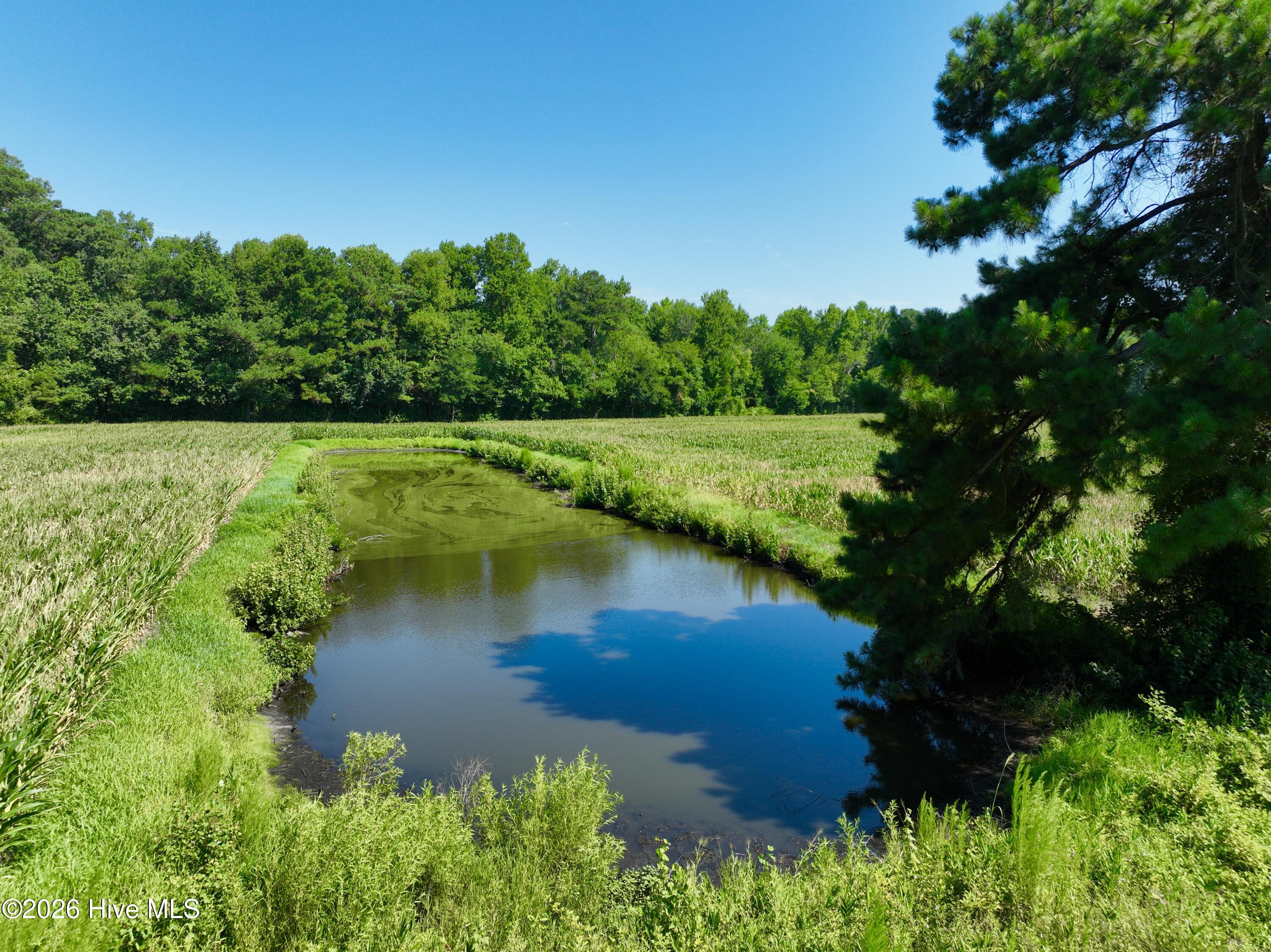 00 Cedar Fork Road Property Photo 3