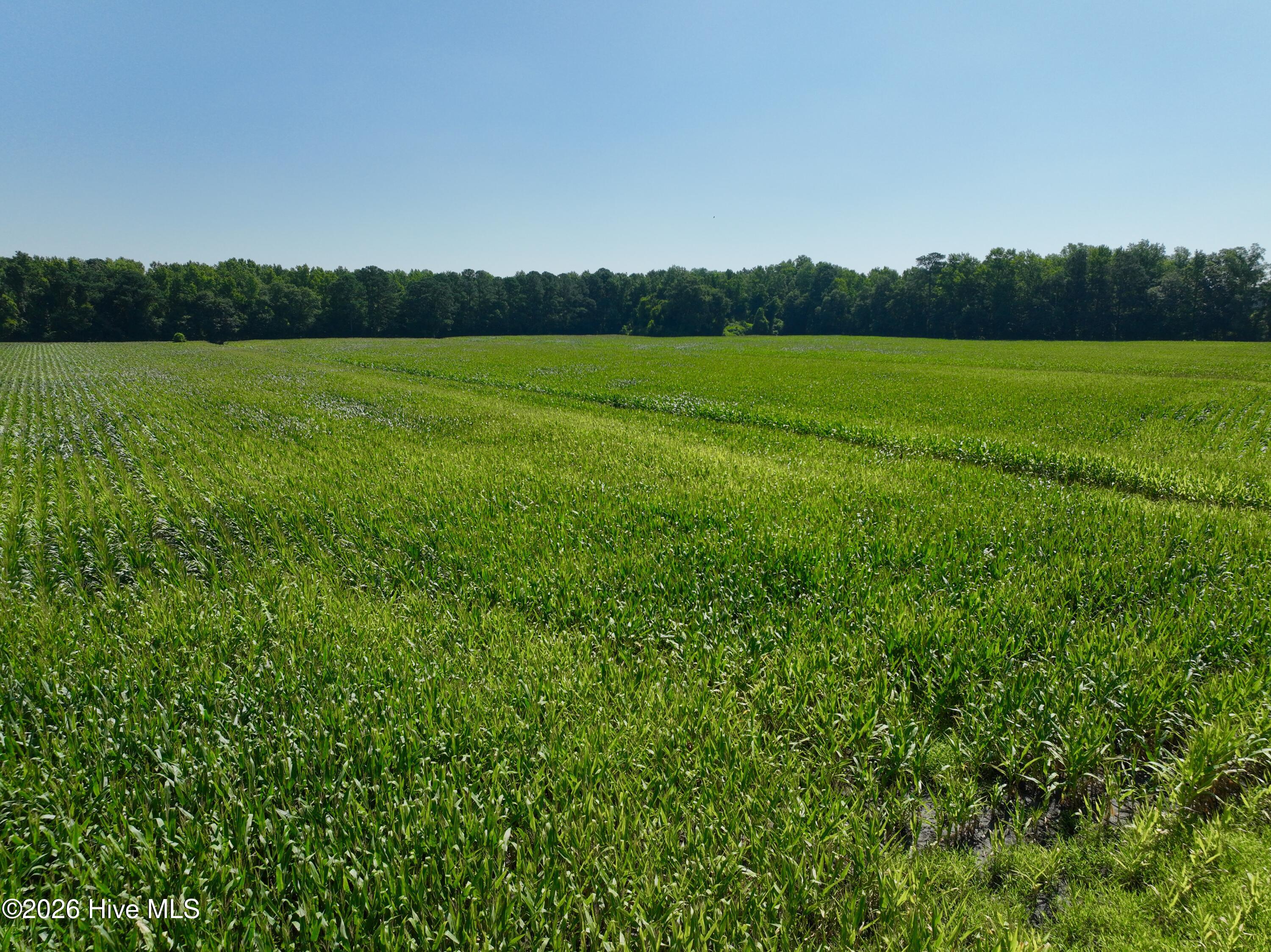 00 Cedar Fork Road Property Photo 19