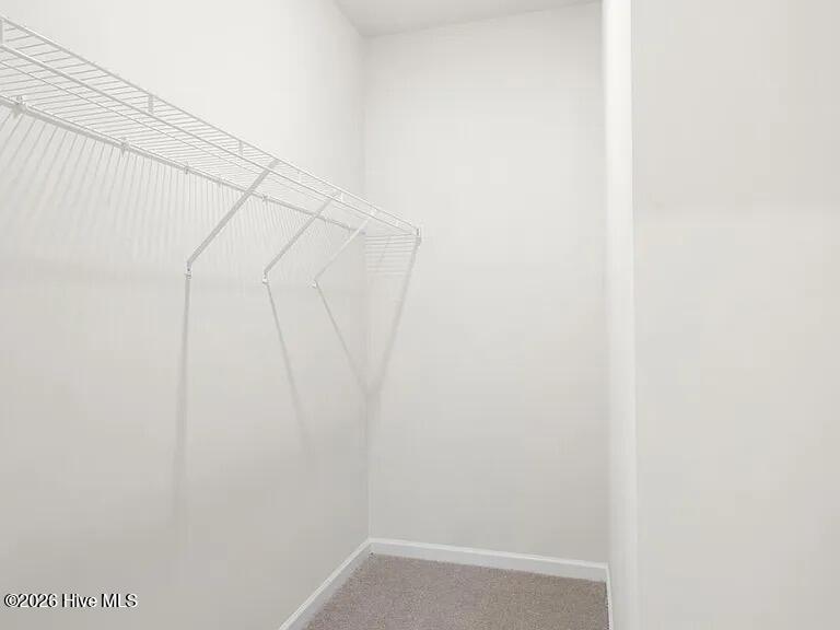 336 Windy Woods Way 29 Property Photo 16