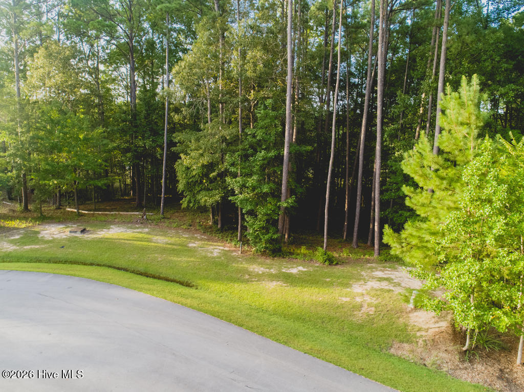 292 203 N Brightleaf Drive Property Photo 2