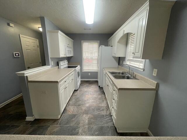 1224 Longpoint Drive Property Photo 3