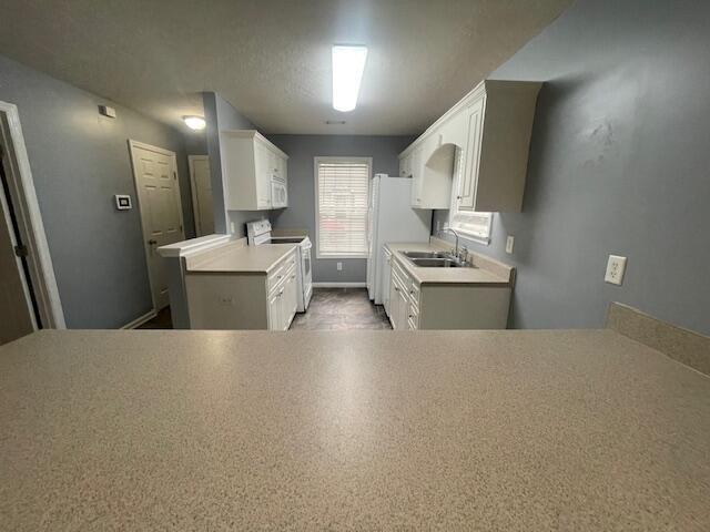 1224 Longpoint Drive Property Photo 4