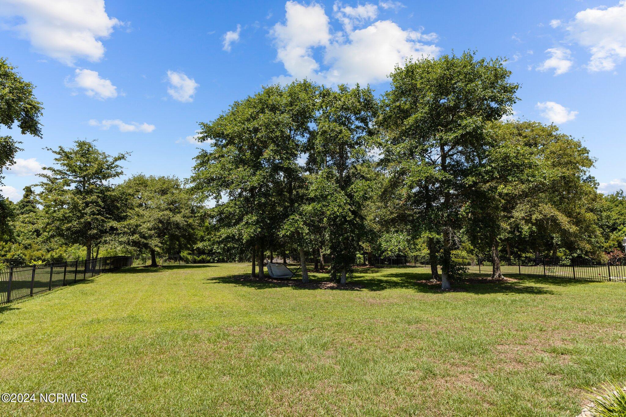 107 Bogue Harbor Court Property Photo 30