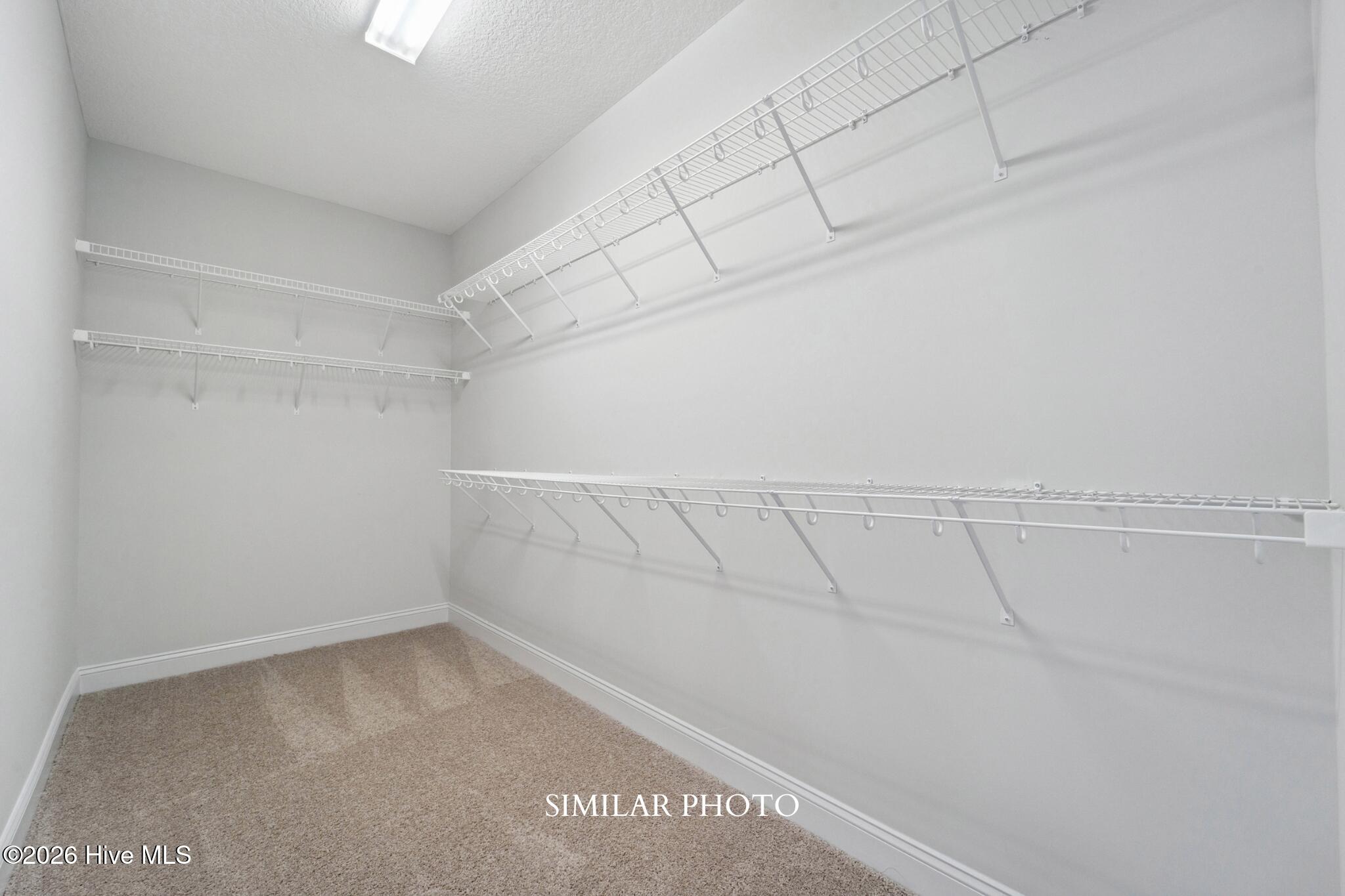736 Secession Lane Property Photo 22