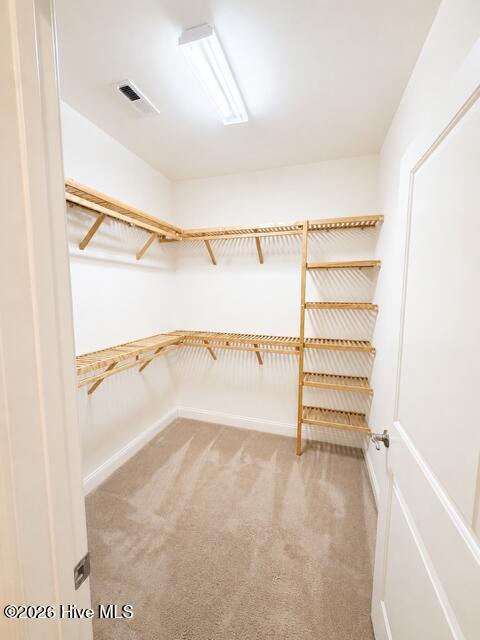 1004 Wind Lake Way Property Photo 16