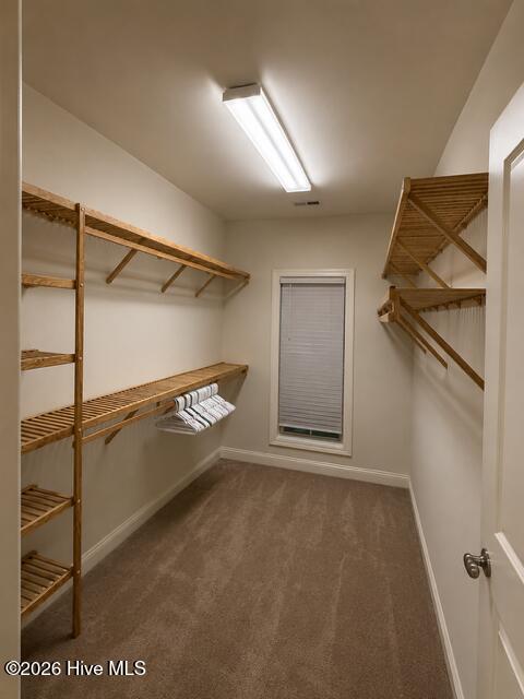 1004 Wind Lake Way Property Photo 17