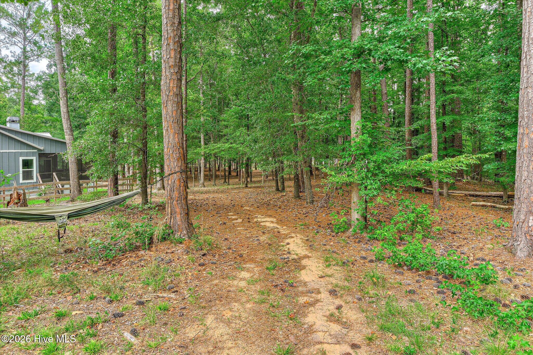 1697 Broad River Scenic Drive Property Photo 48