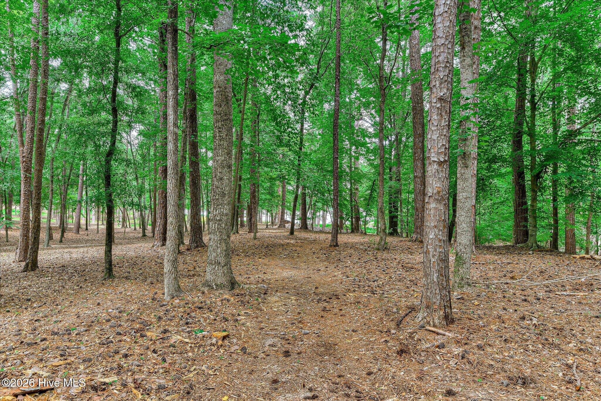 1697 Broad River Scenic Drive Property Photo 49