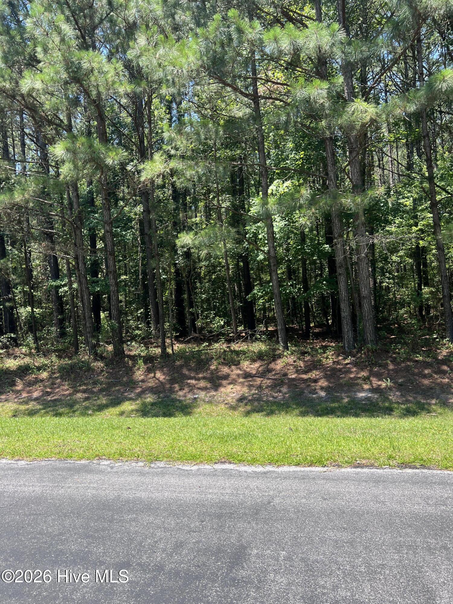 Lot #79 Breakwater Drive Property Photo 4