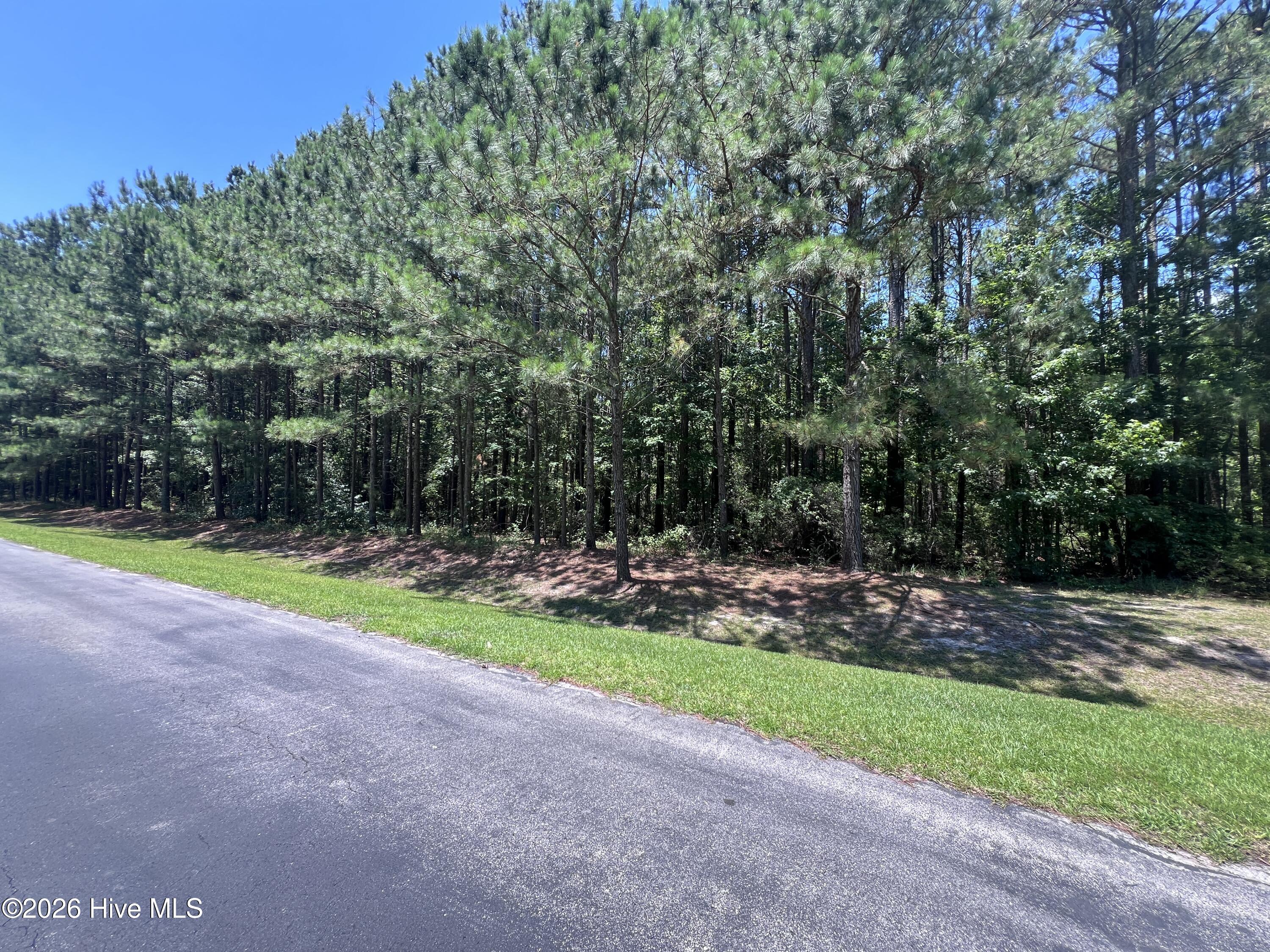Lot #79 Breakwater Drive Property Photo 6