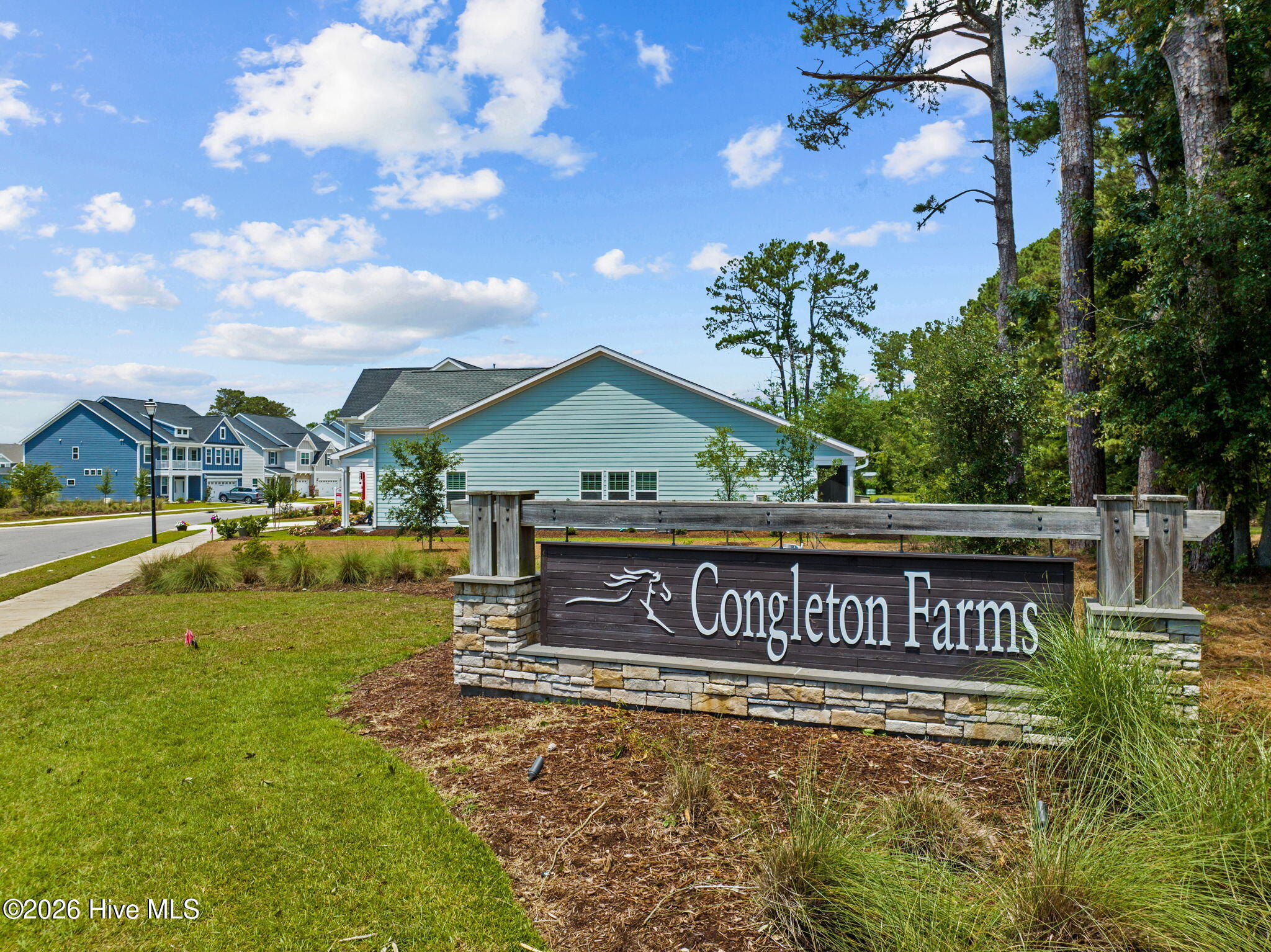 6036 Meadowgrove Loop Property Photo 44