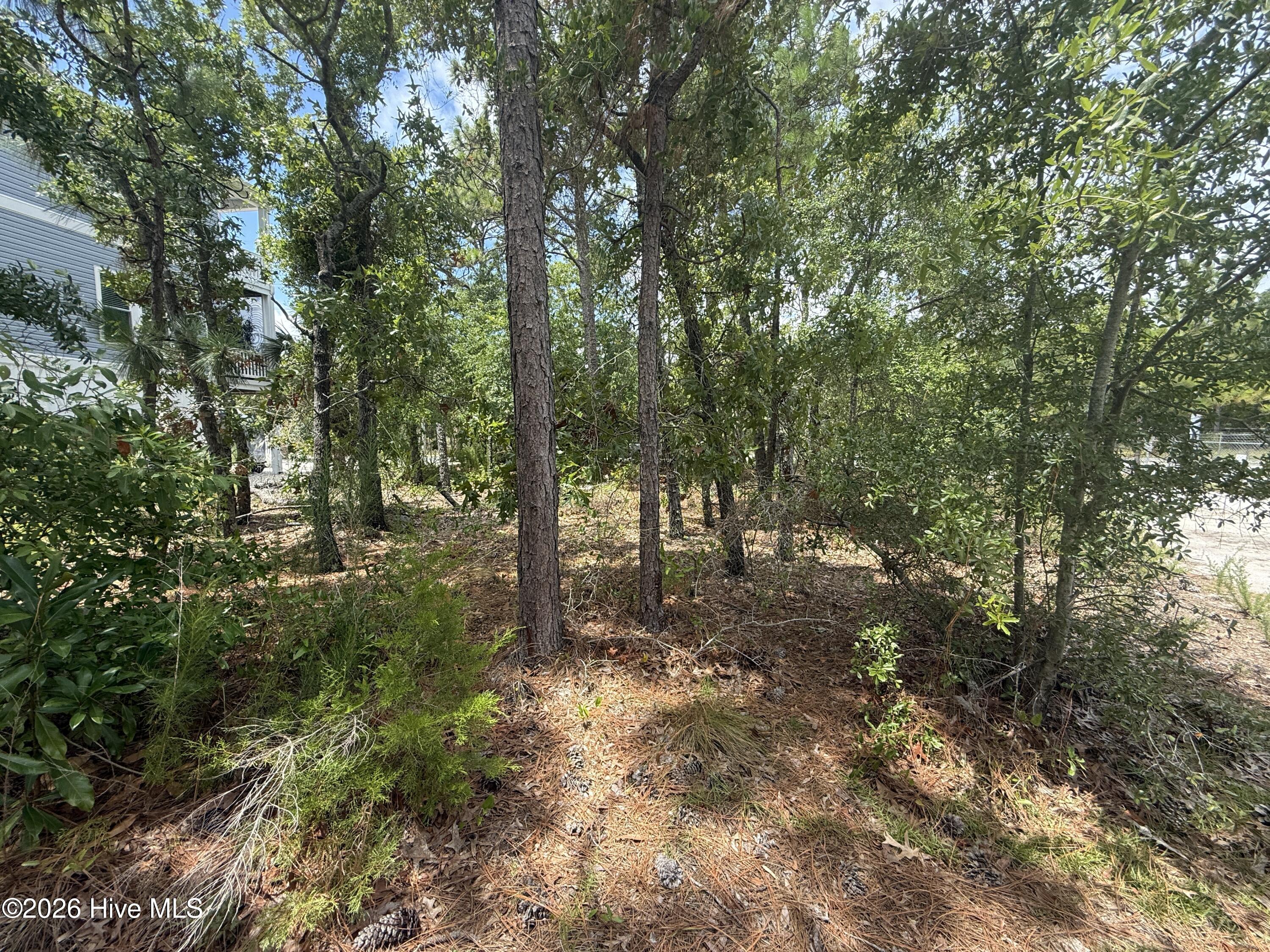 918 Old Dow Road Property Photo 2