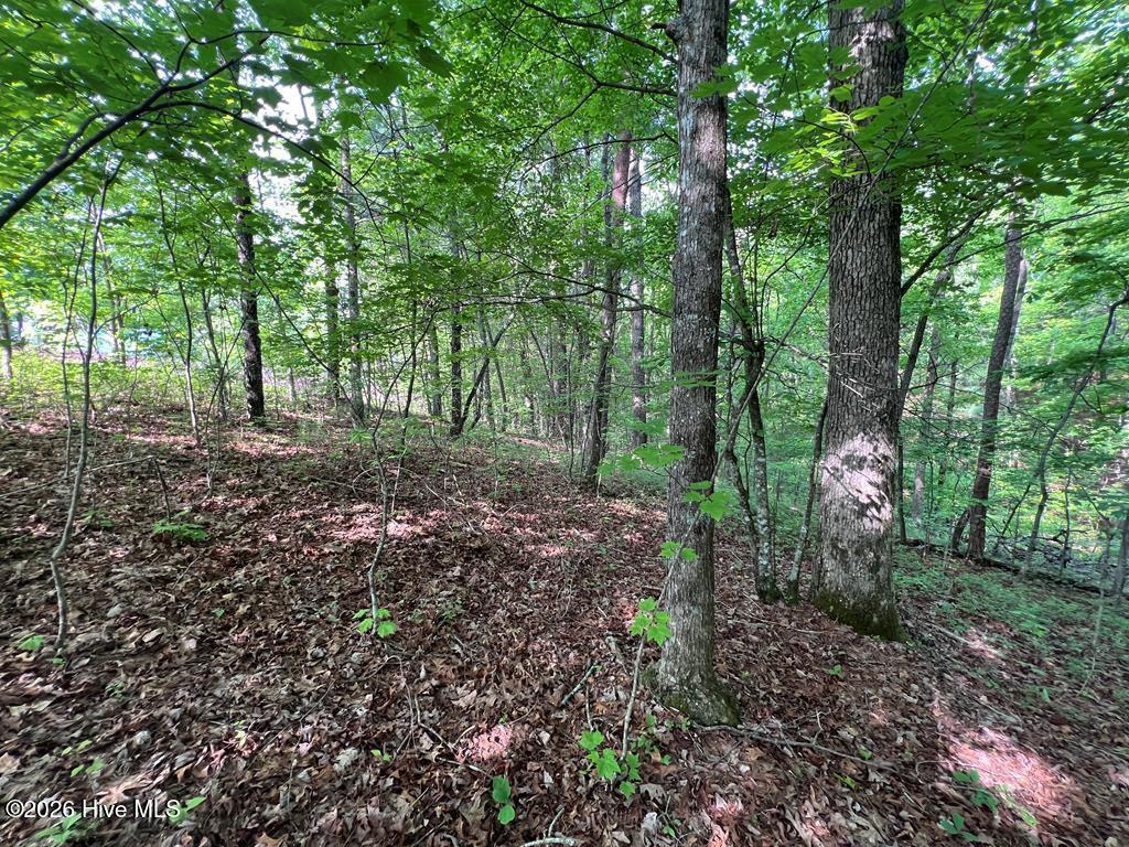 Lot 1 Leonard Lane