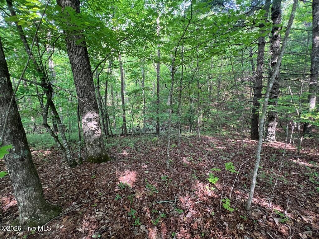 Lot 1 Leonard Lane Property Photo 2