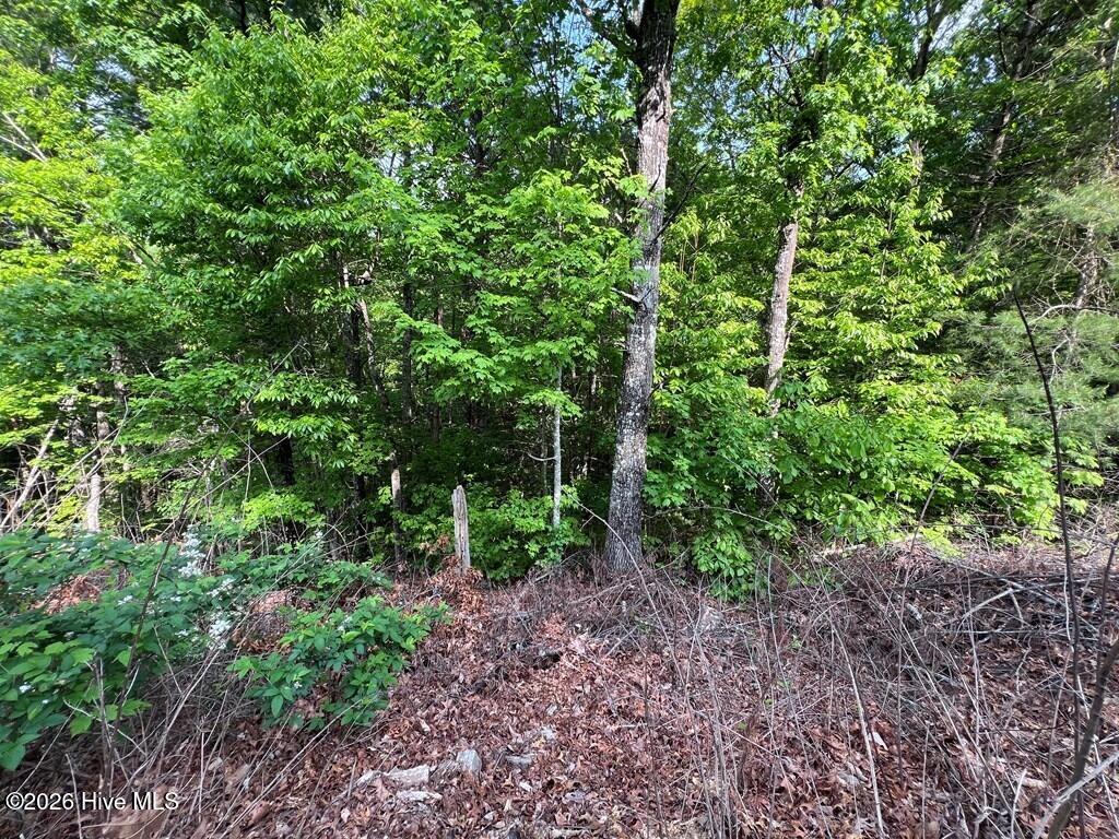 Lot 1 Leonard Lane Property Photo 5