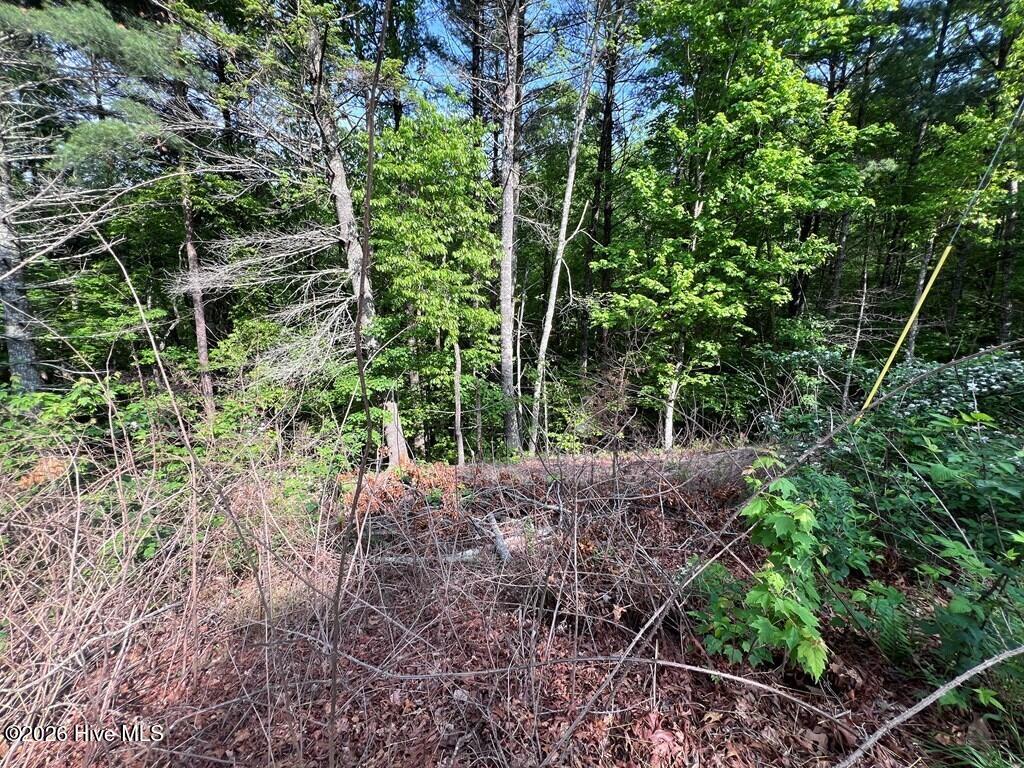 Lot 1 Leonard Lane Property Photo 6
