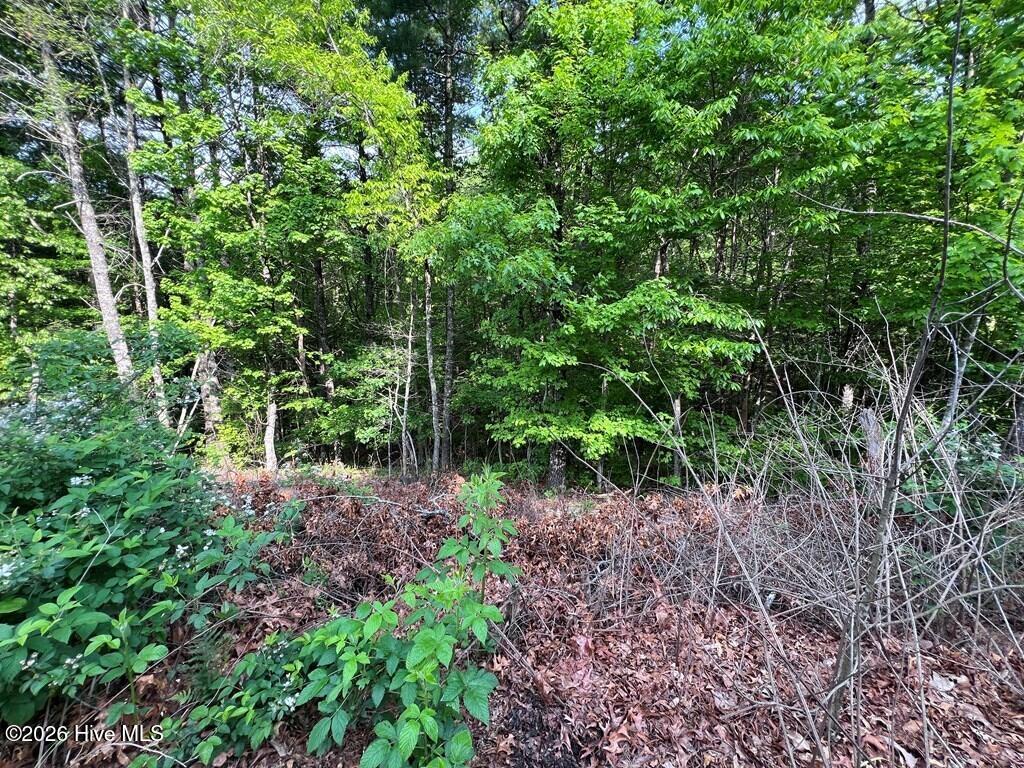 Lot 1 Leonard Lane Property Photo 7