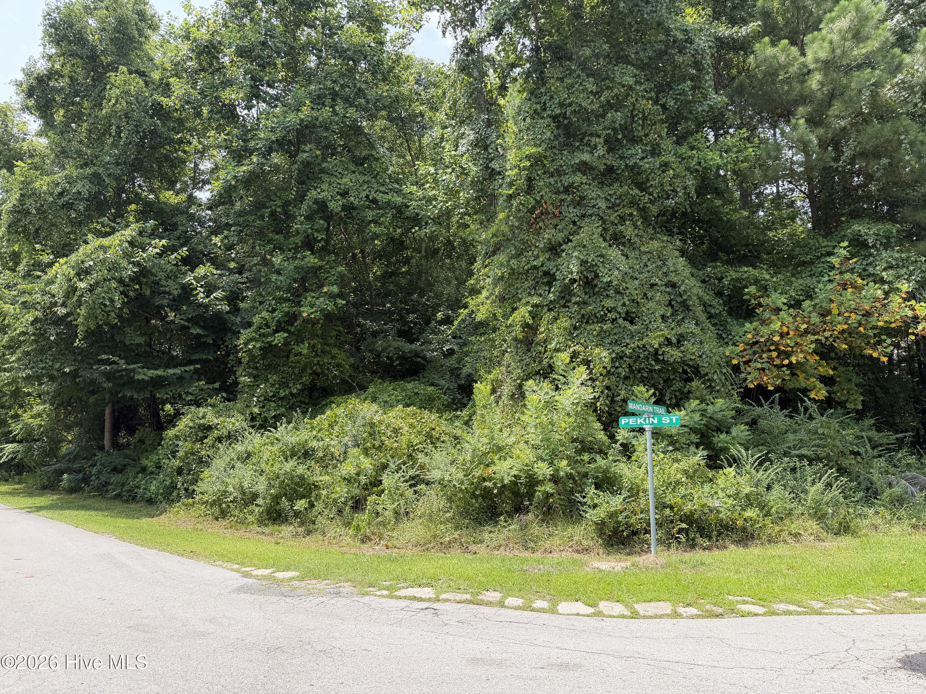 919 73 Mandarin Trail Property Photo 4