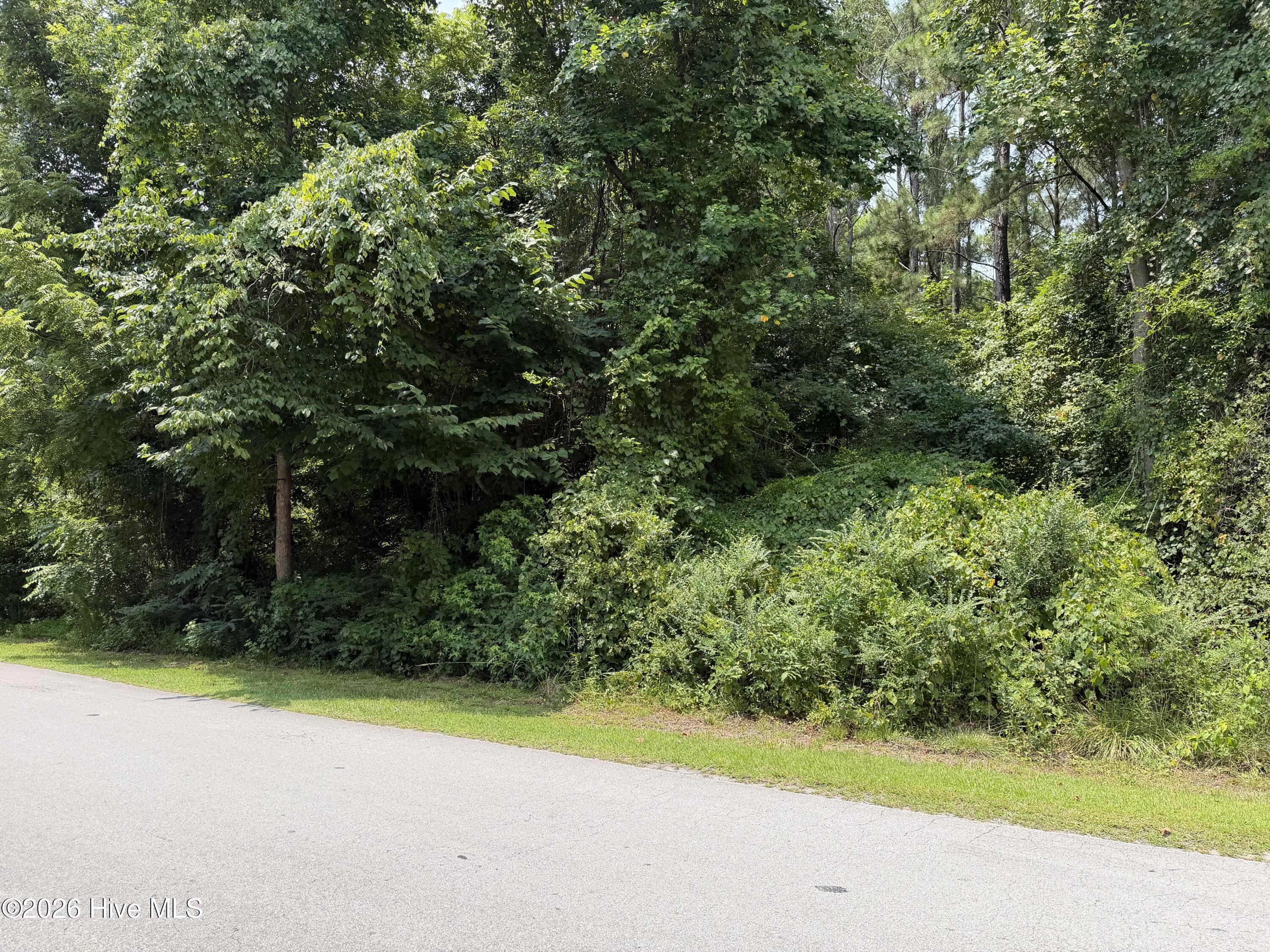 919 73 Mandarin Trail Property Photo 5