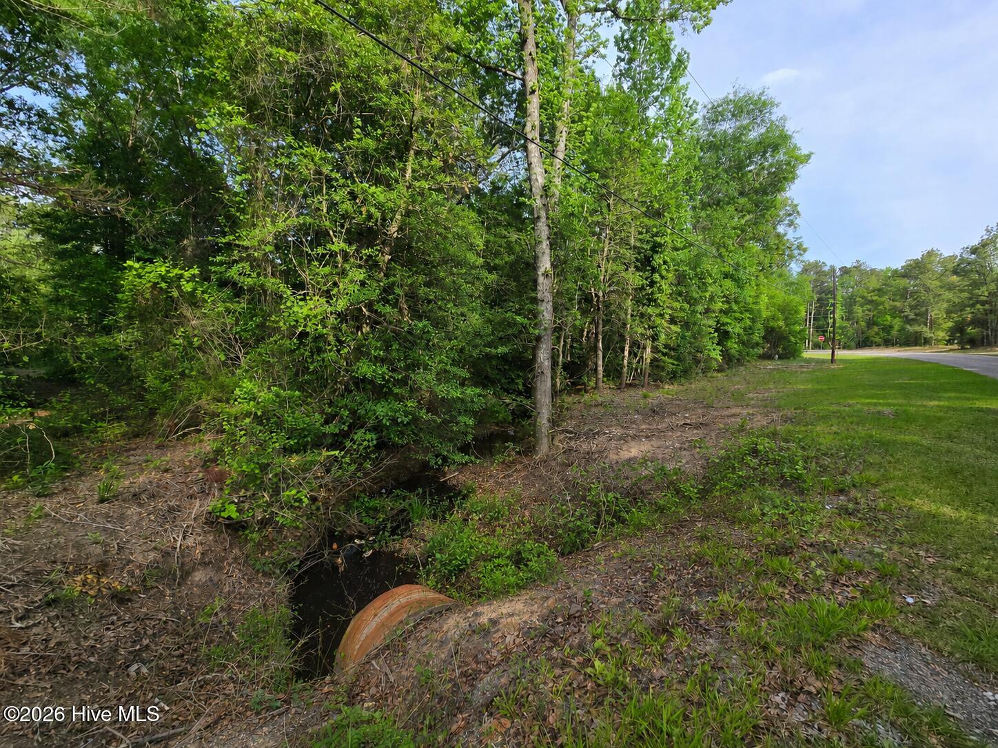 Lot 45-47 Cabins Creek Road Property Photo 1