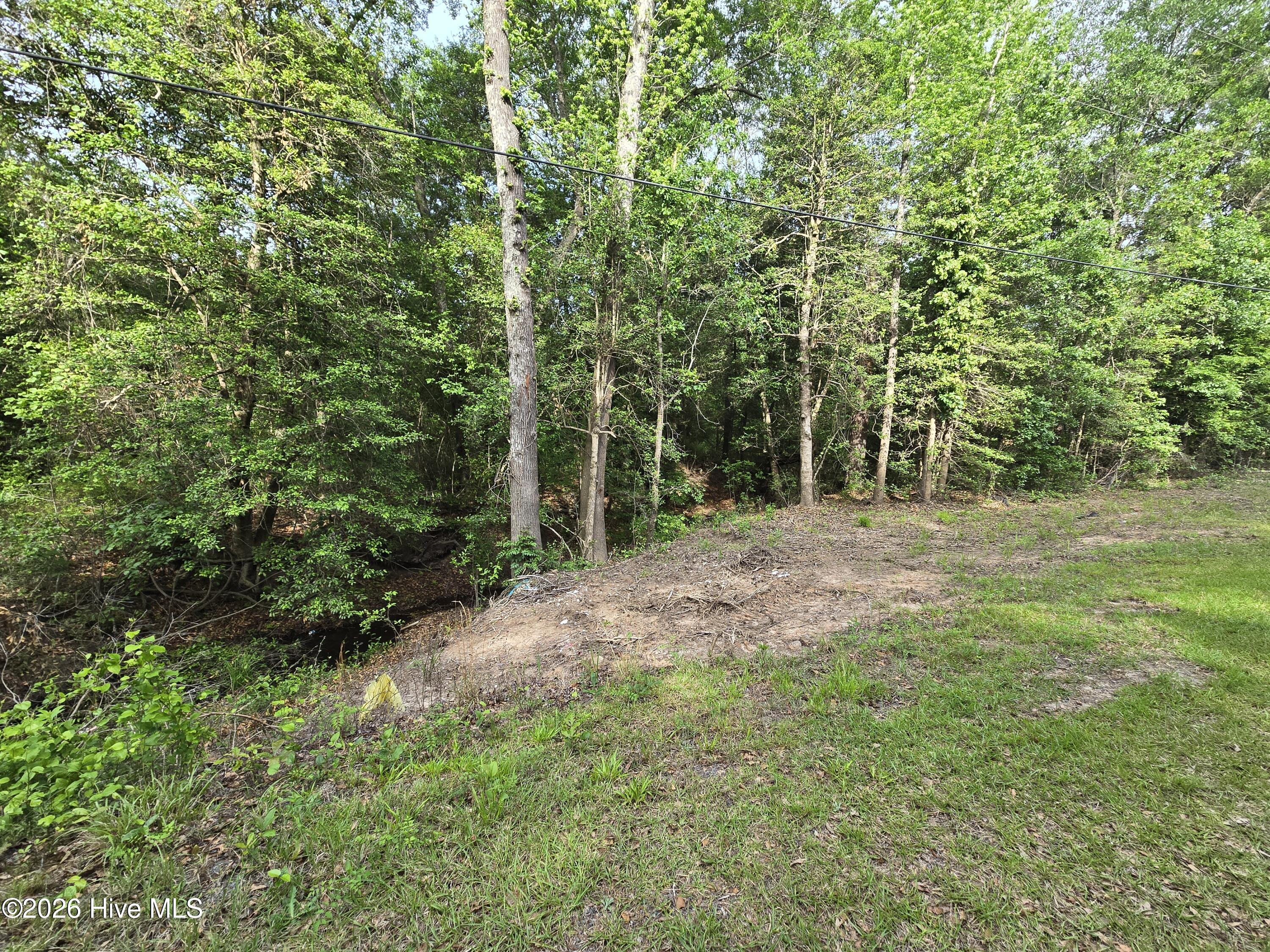 Lot 45-47 Cabins Creek Road Property Photo 3