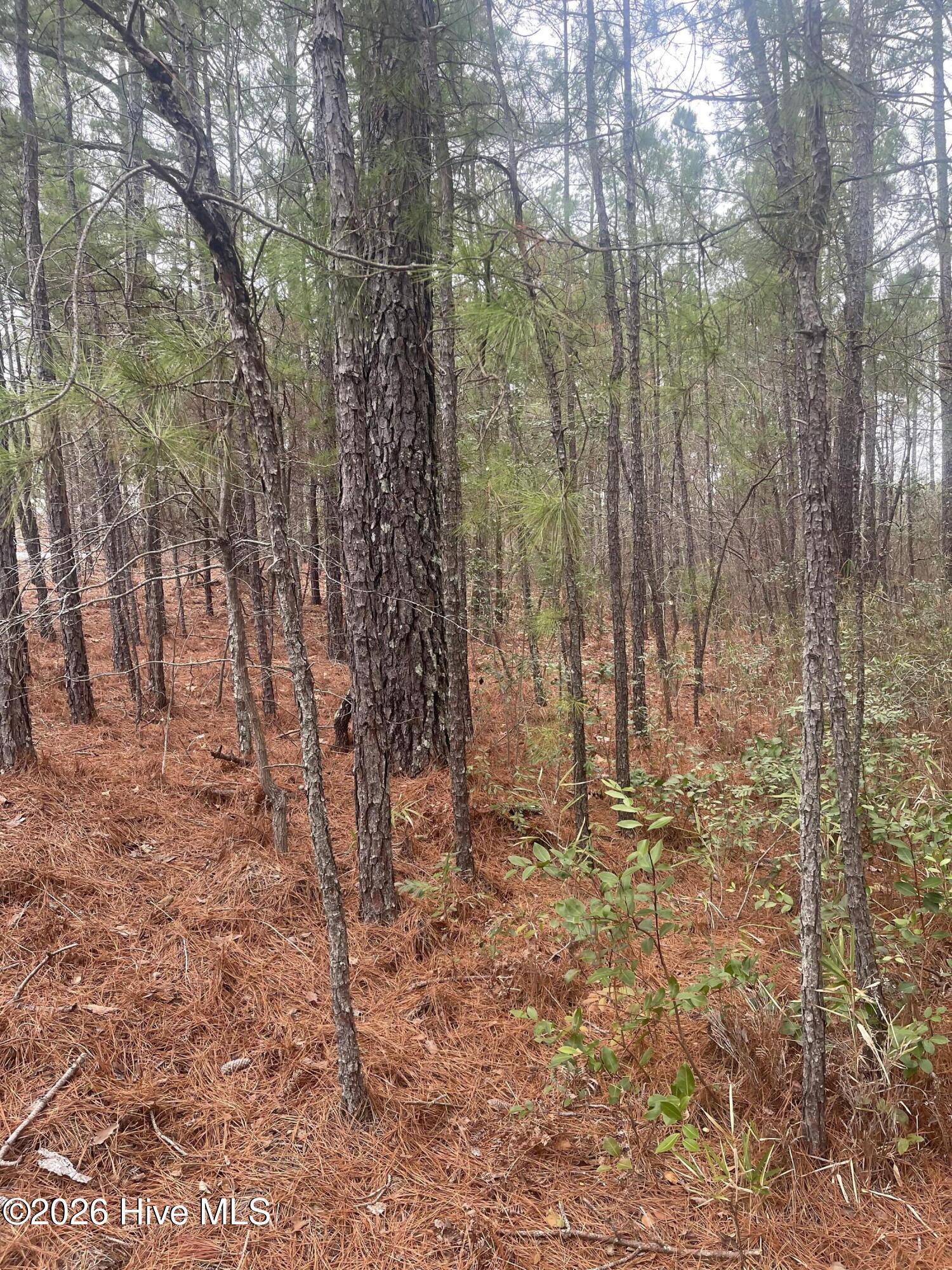 Lot #6 6 Bumpy Lane Property Photo 3