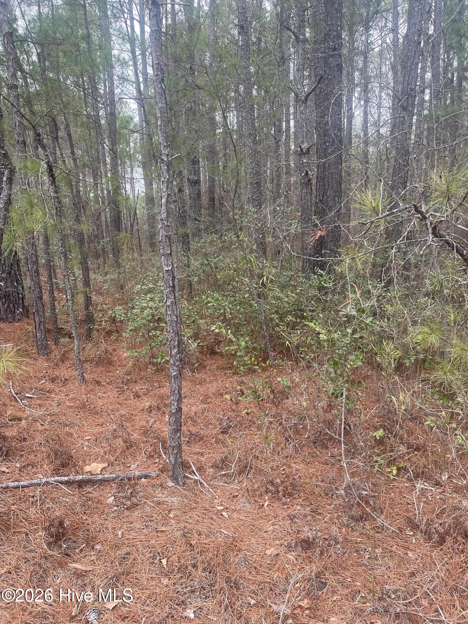 Lot 6 & 7 Bumpy Lane Property Photo 3