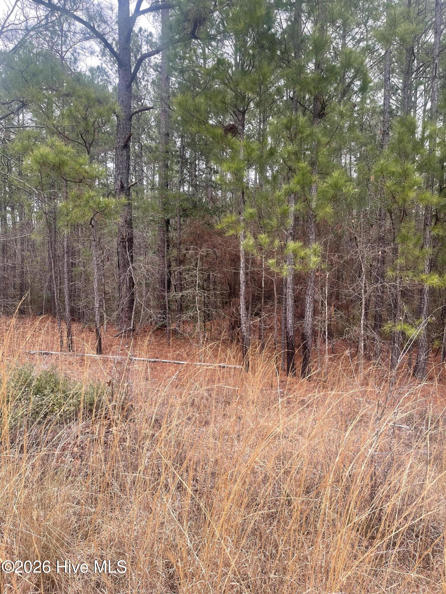 Lot 6 & 7 Bumpy Lane Property Photo 5