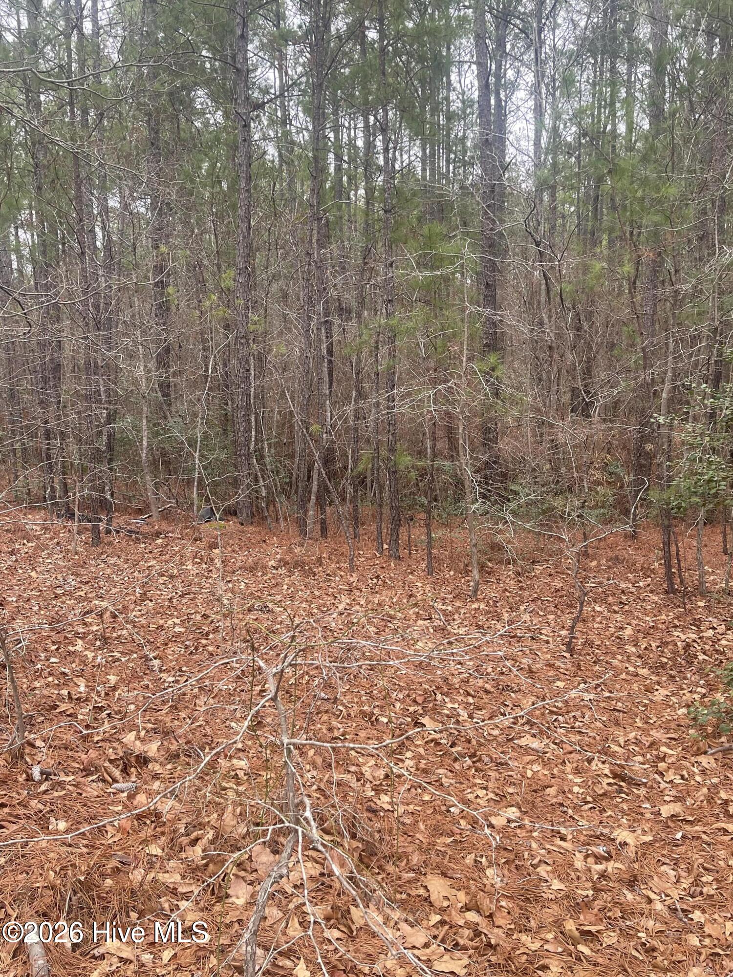 Lot 6 & 7 Bumpy Lane Property Photo 6