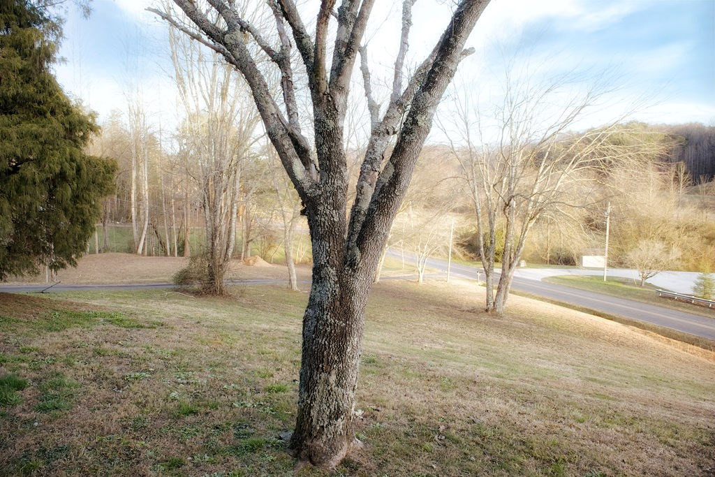 545 Maltby Road Property Photo 6