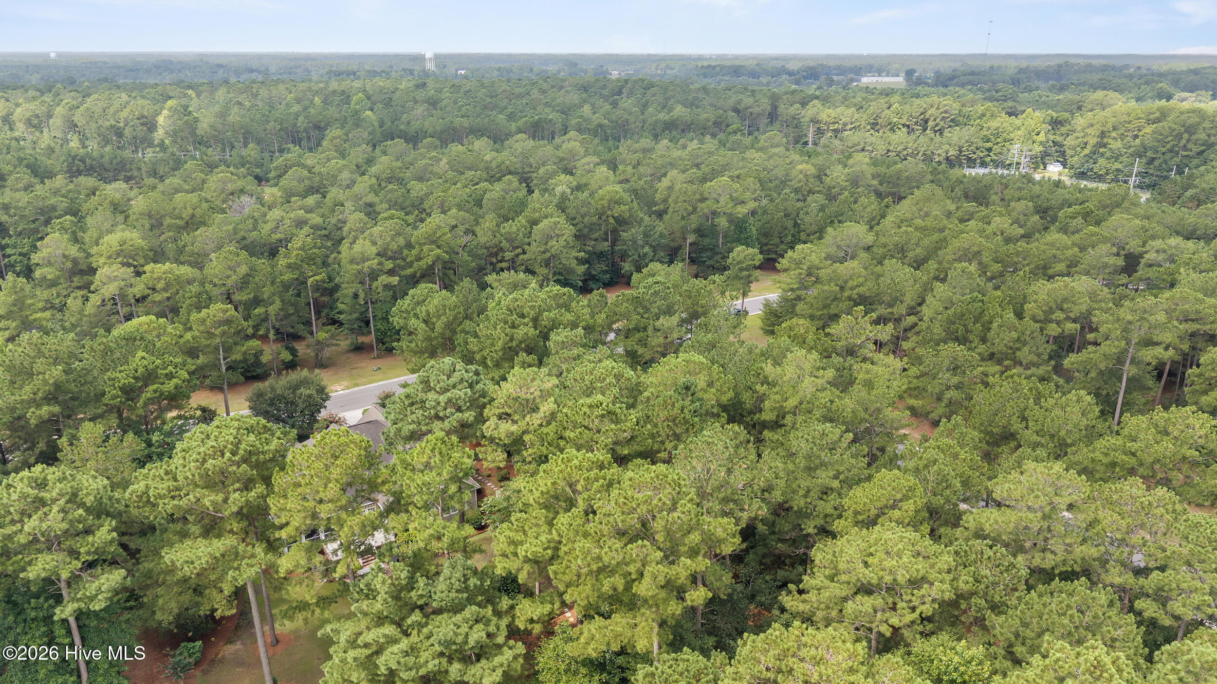 154 8 Muscadine Trail Property Photo 8