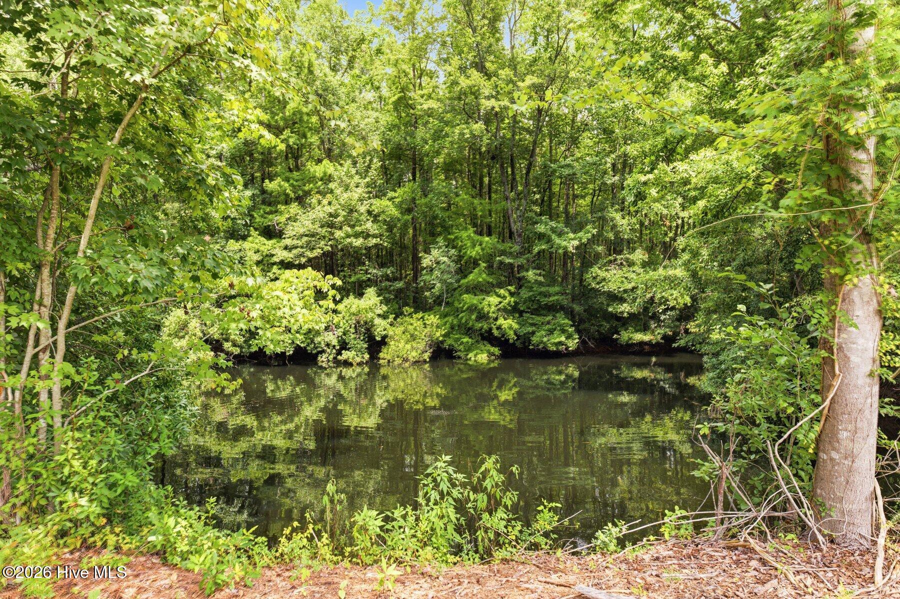 27 Big Creek Circle Property Photo 18