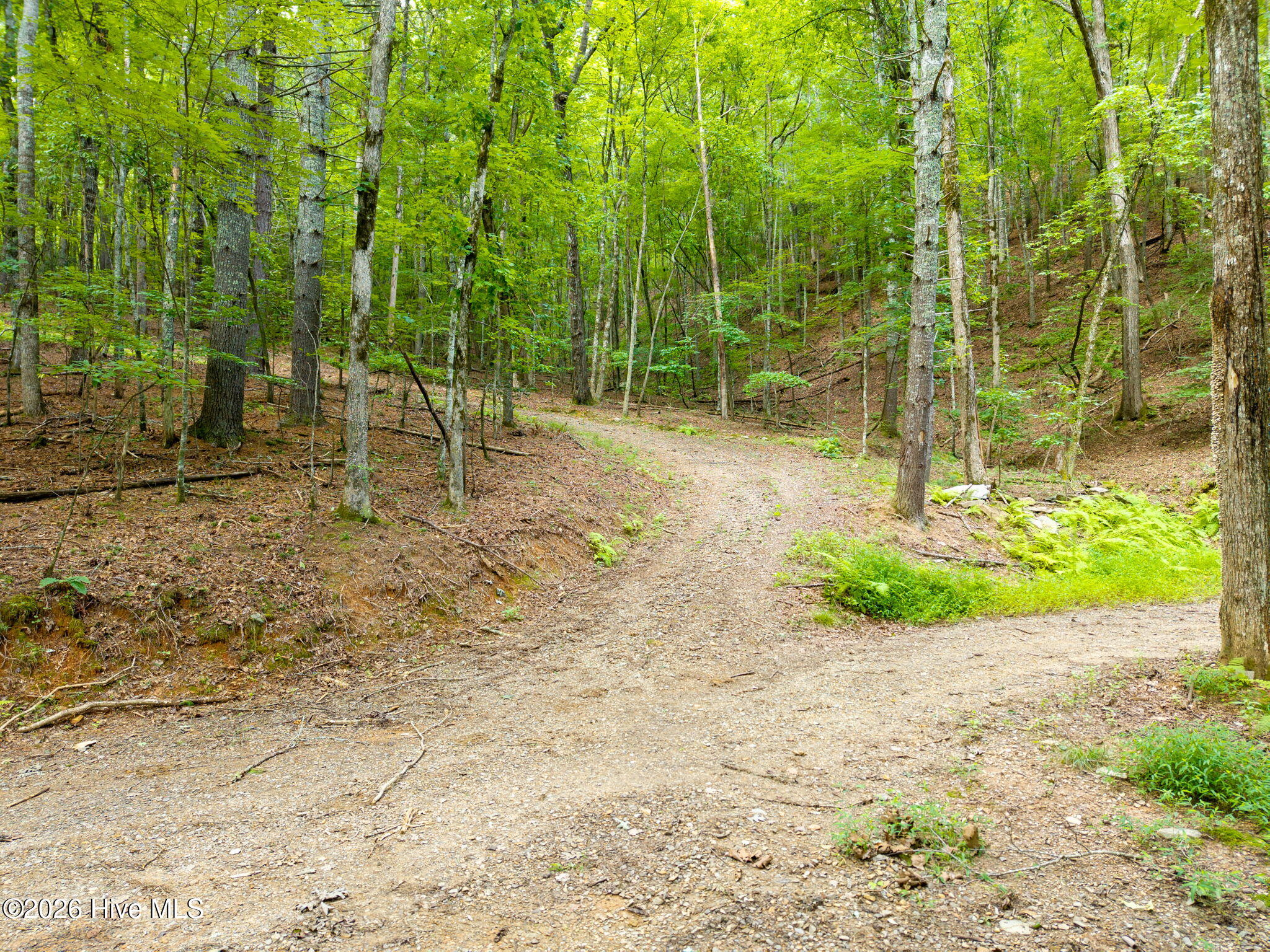 0 Smith Hollow Hollow Property Photo 1