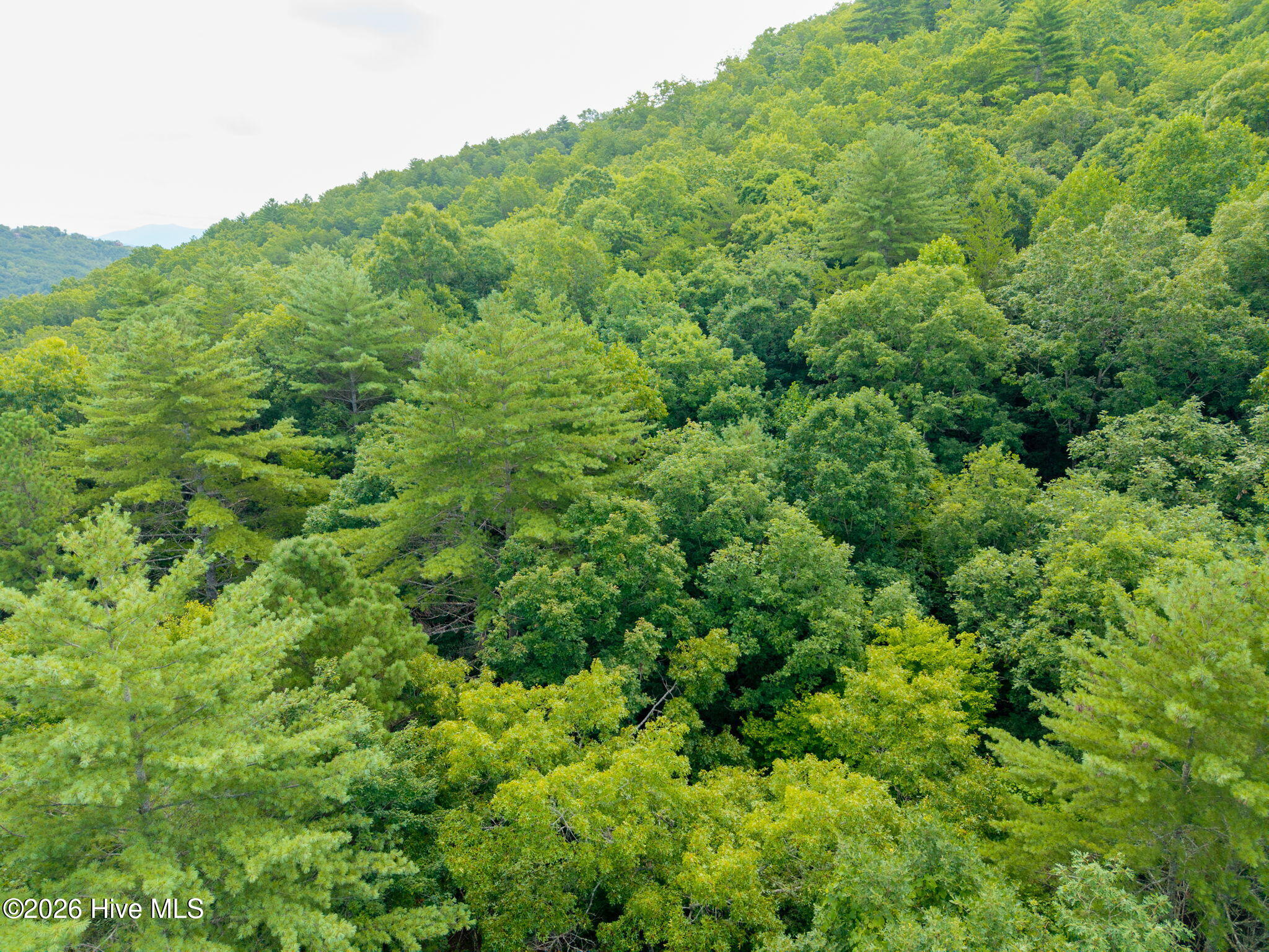 0 Smith Hollow Hollow Property Photo 5