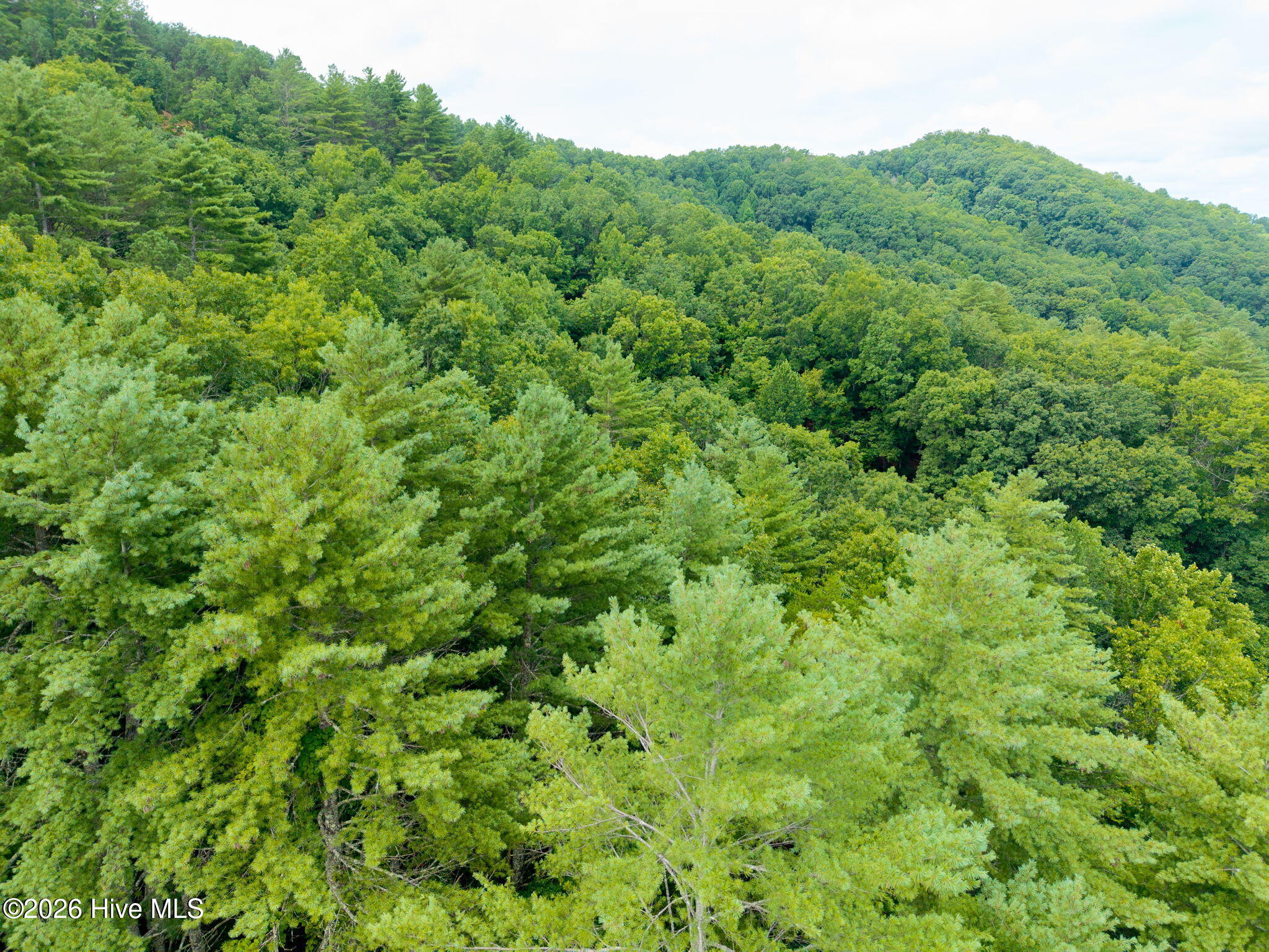 0 Smith Hollow Hollow Property Photo 9