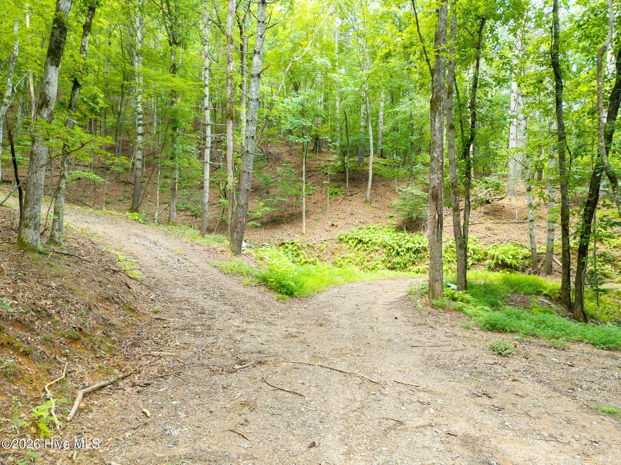 0 Smith Hollow Hollow Property Photo 10