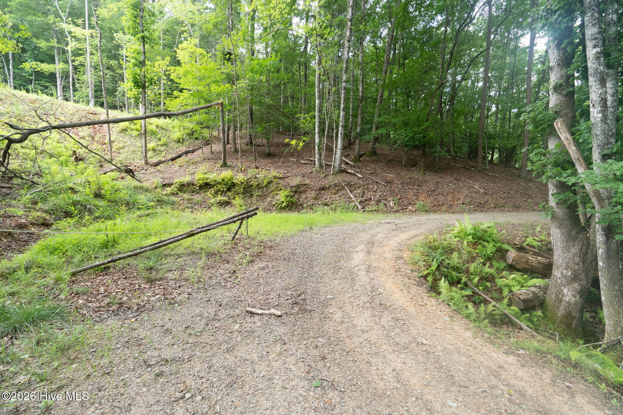 0 Smith Hollow Hollow Property Photo 12