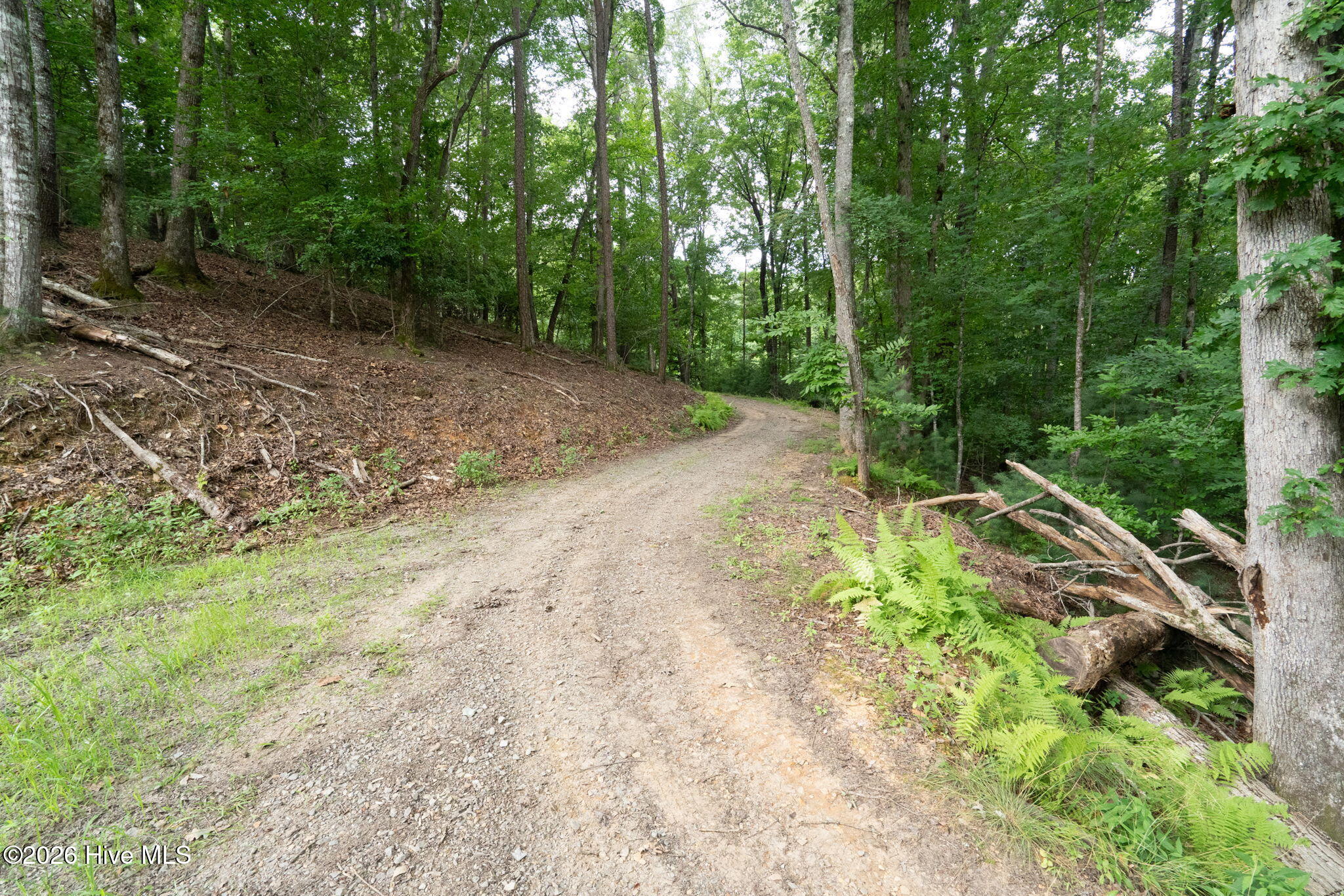 0 Smith Hollow Hollow Property Photo 13