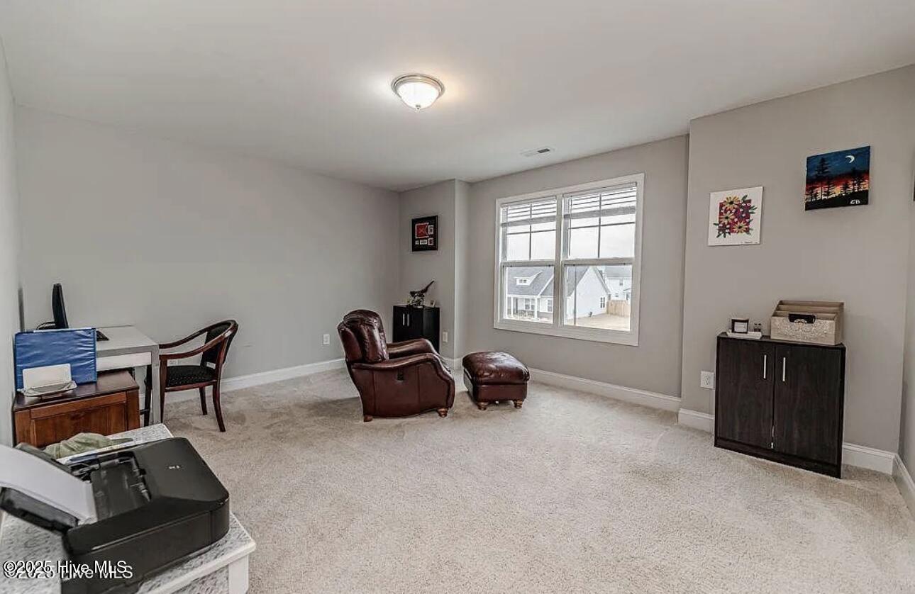 223 Burnside Drive Property Photo 23