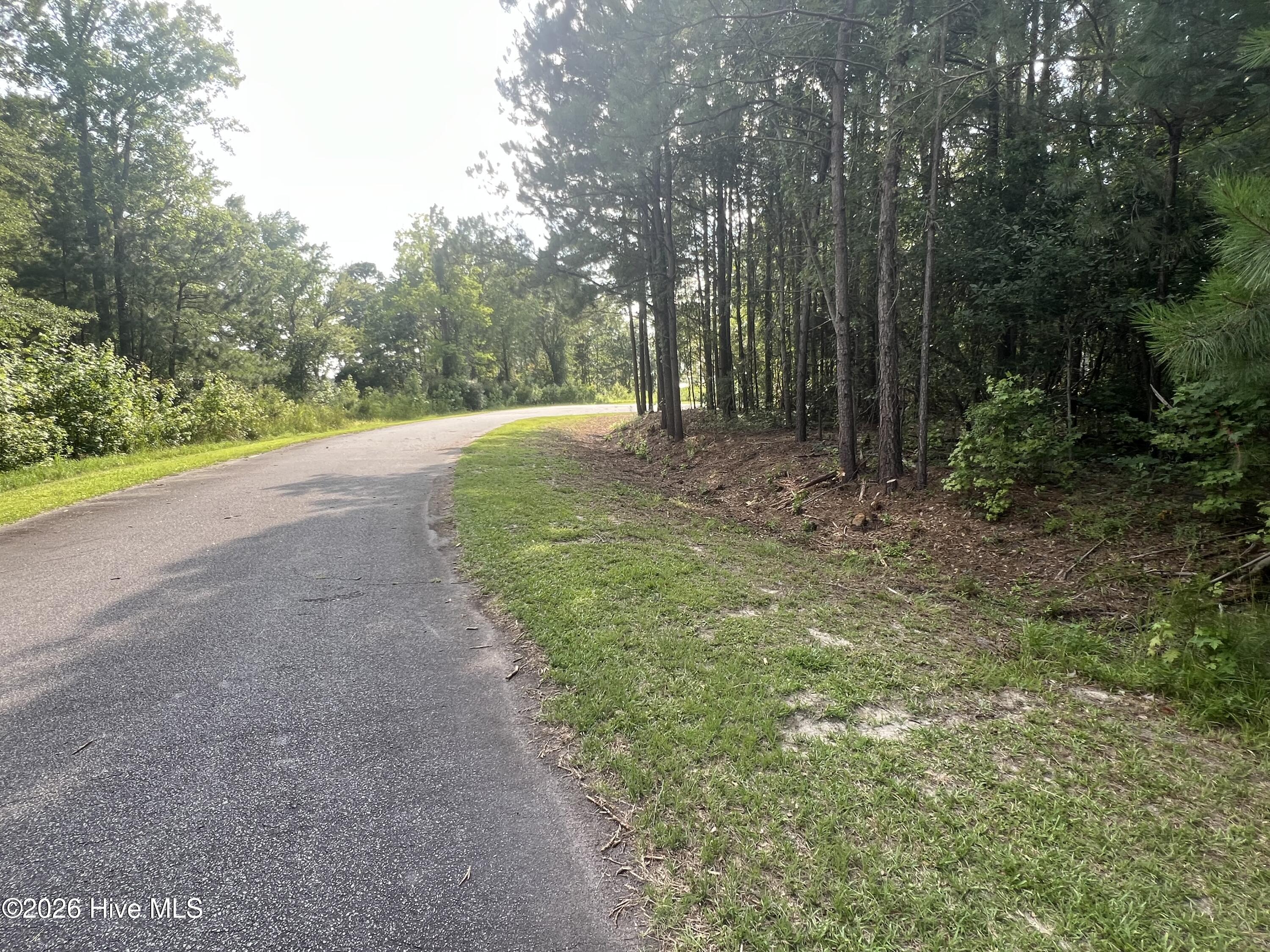 Lot 4 Cedar Lane Property Photo 7